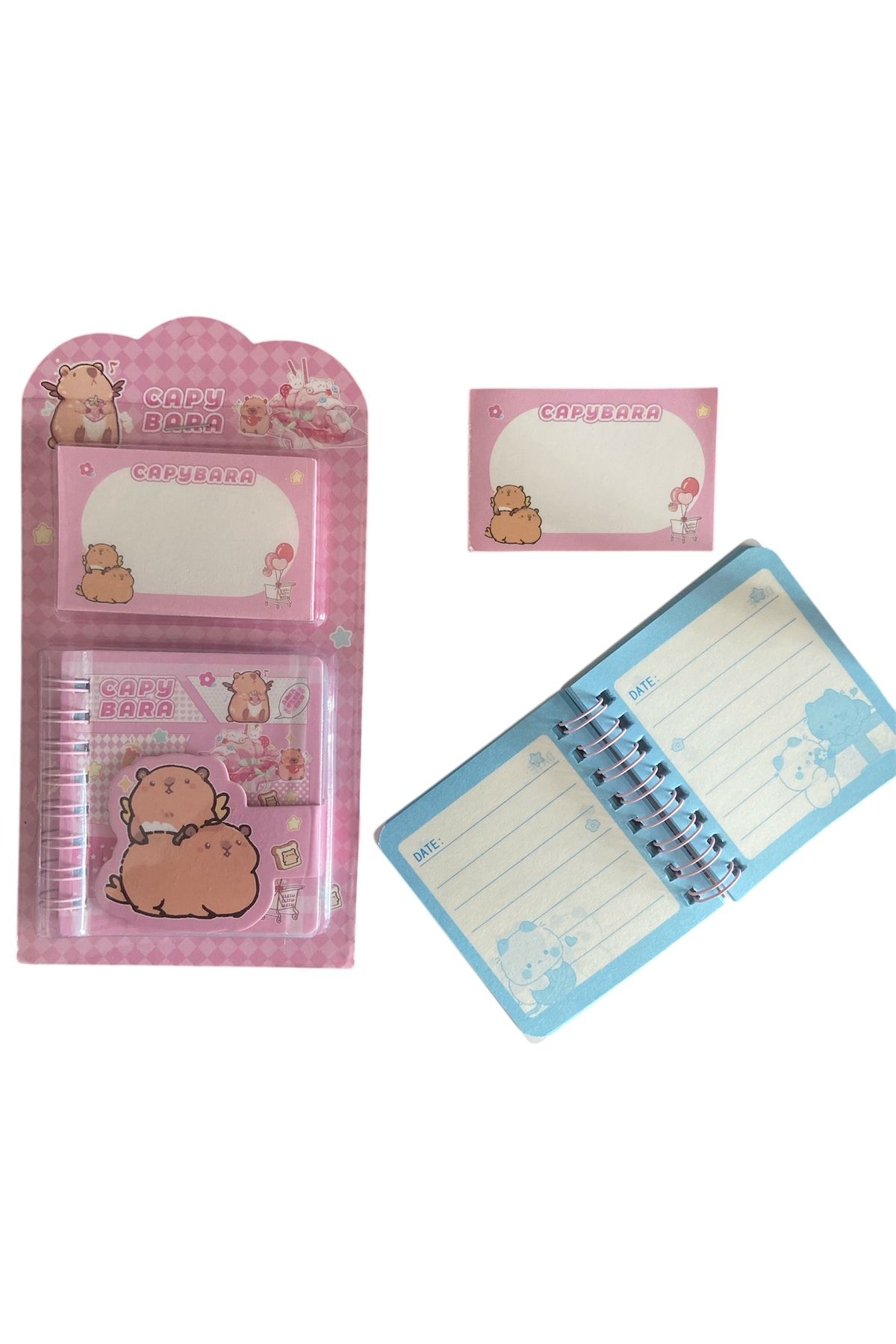synshop Capybara Kapibara Not Defteri Postit Blok Not Kağıt