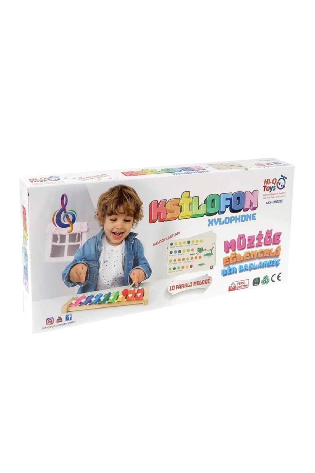 Hi-Q Toys Ksilofon - Nota Kartlı 10 Farklı Melodi fotoğrafı 2 (önizleme)