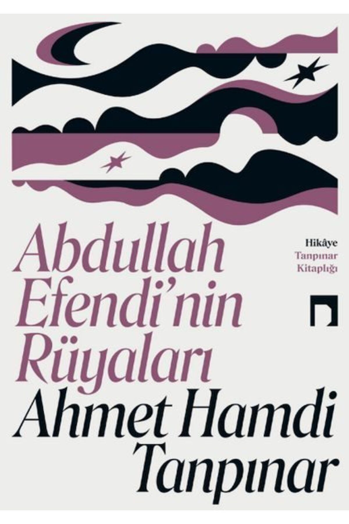 Destek Yayınları Abdullah Enin Rüyaları