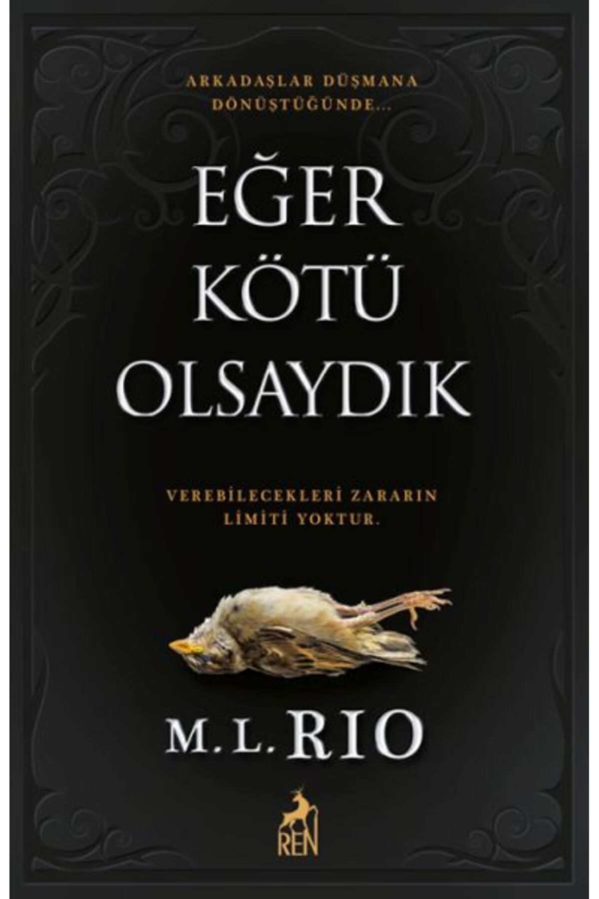 Destek Yayınları Eğer Kötü Olsaydık