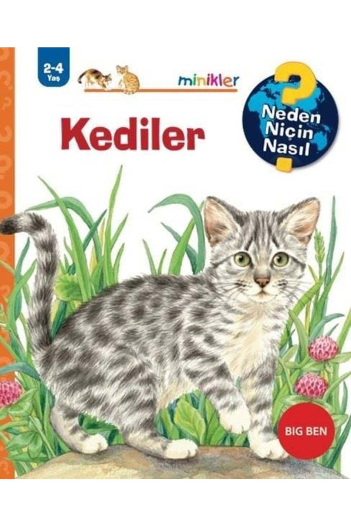 Destek Yayınları Kediler Neden Niçin Nasıl 2 4 Yaş