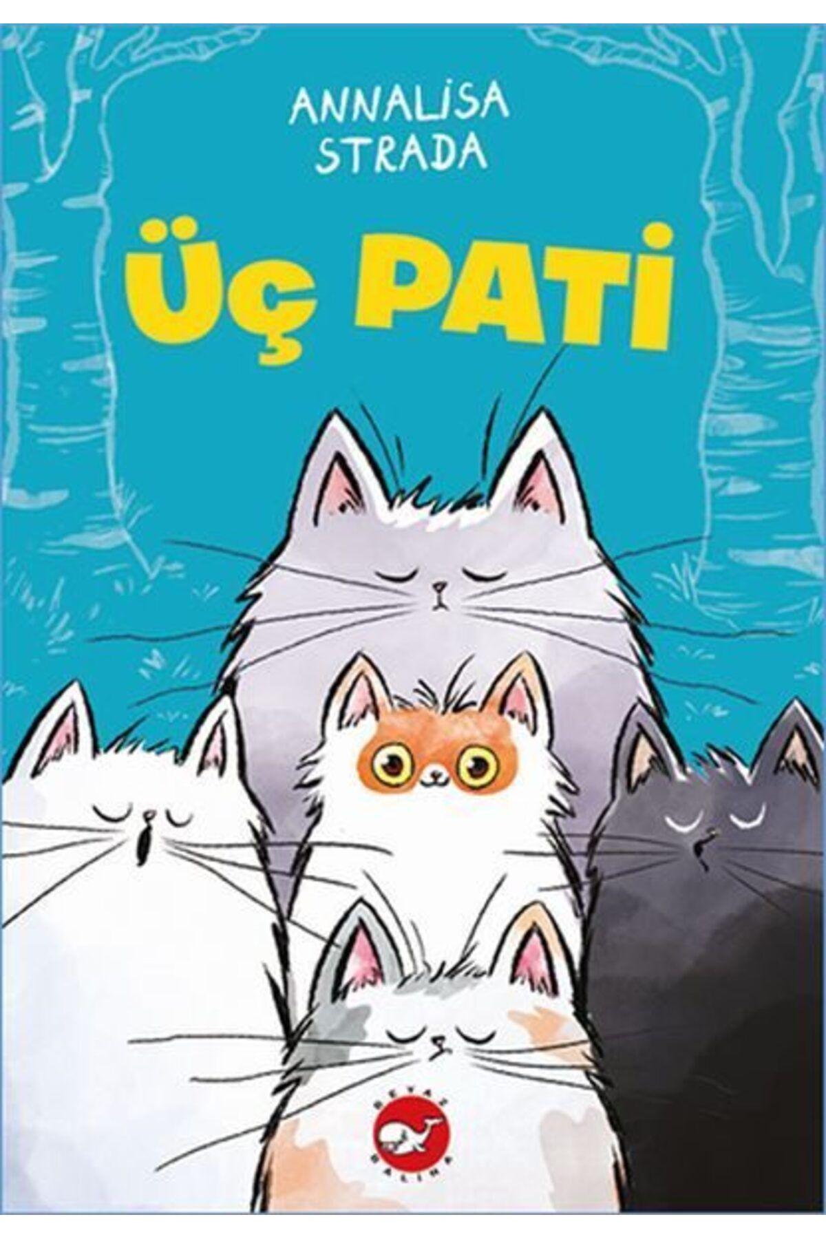 Karatay Yayınları Üç Pati
