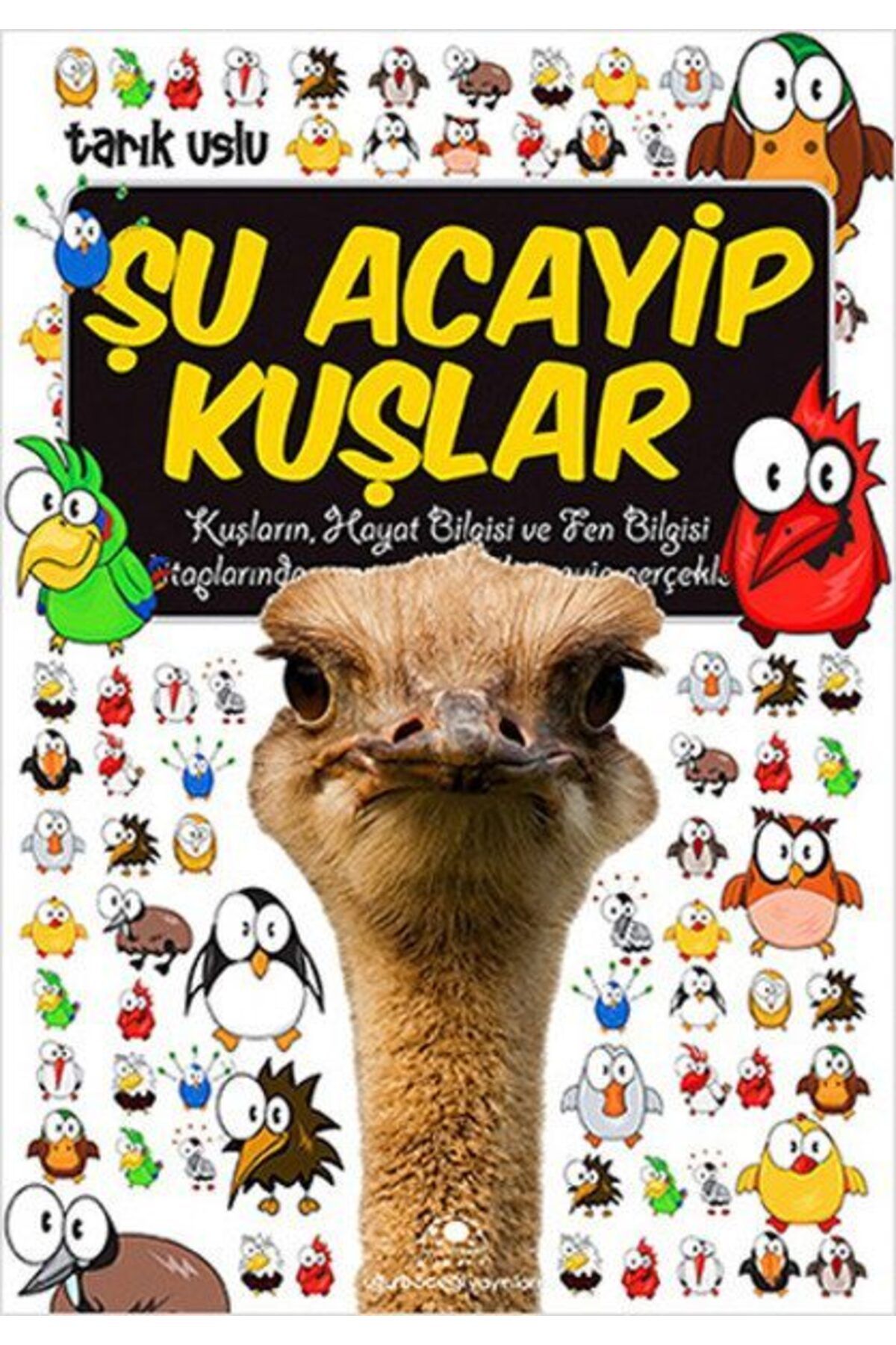 Karatay Yayınları Şu Acayip Kuşlar