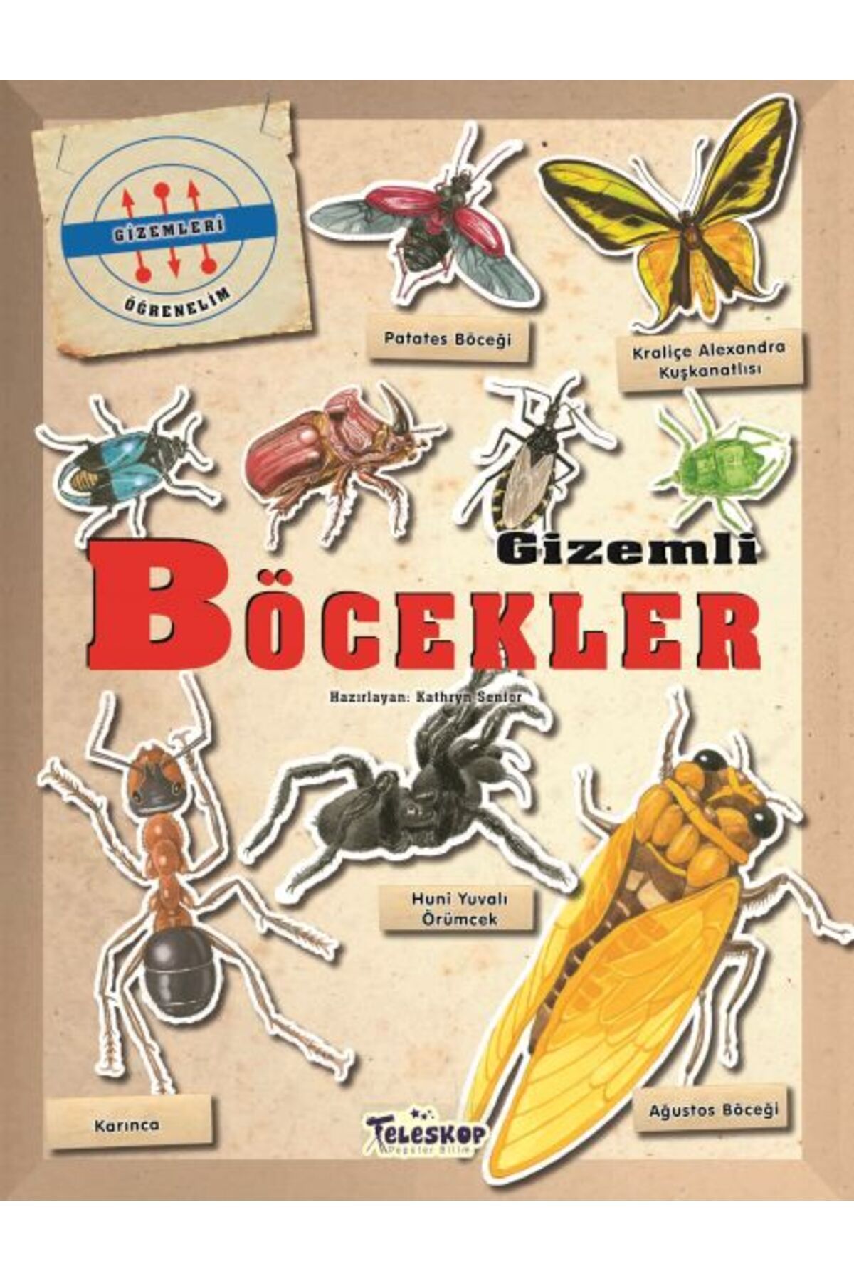 Destek Yayınları Gizemleri Öğrenelim Gizemli Böcekler
