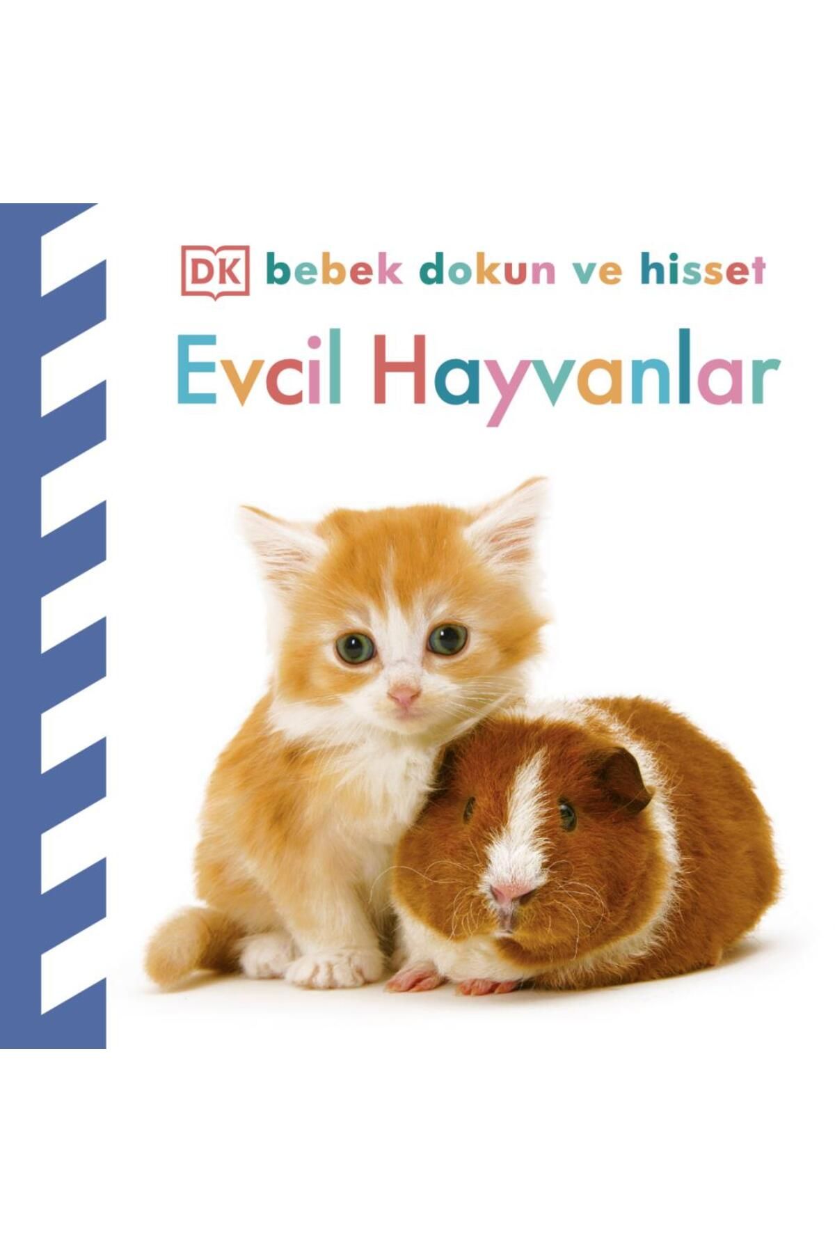 Beta Kids Yayınları Bebek Dokun ve Hisset Evcil Hayvanlar
