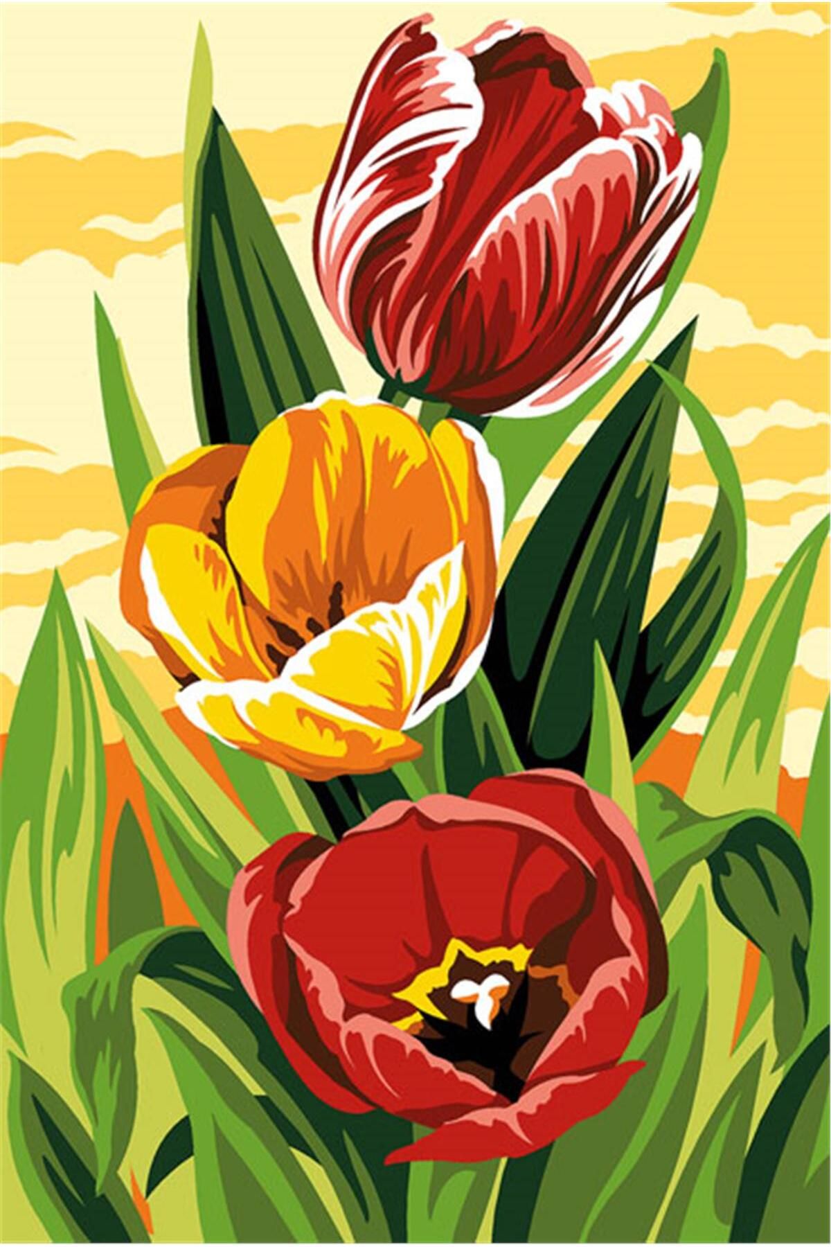 Seg GOBLEN 30x40CM