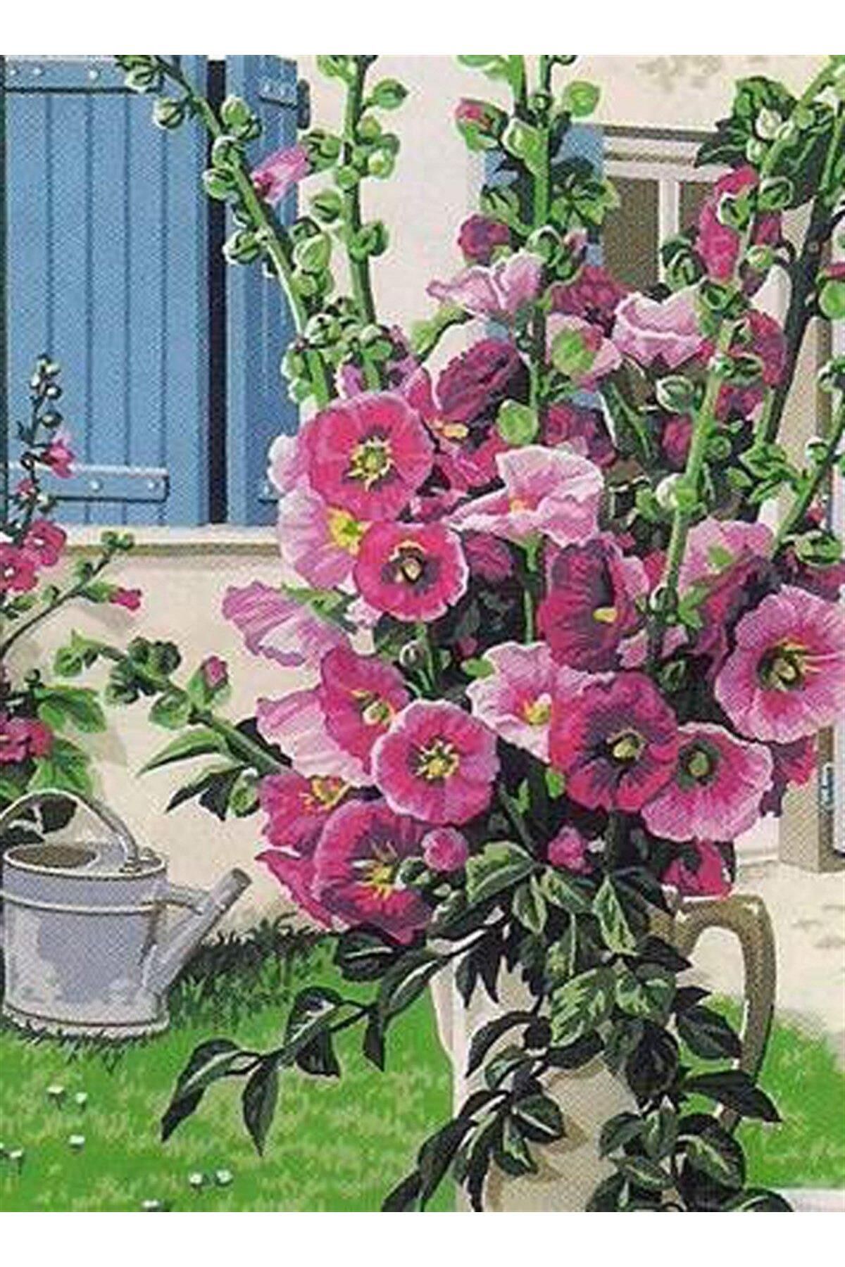 Seg GOBLEN 45X60CM