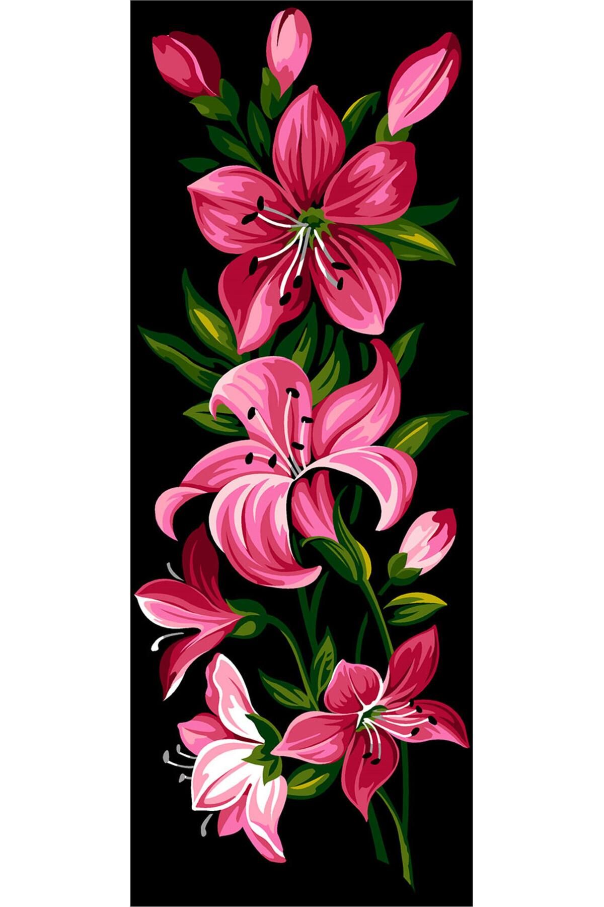 Seg GOBLEN 25X60CM