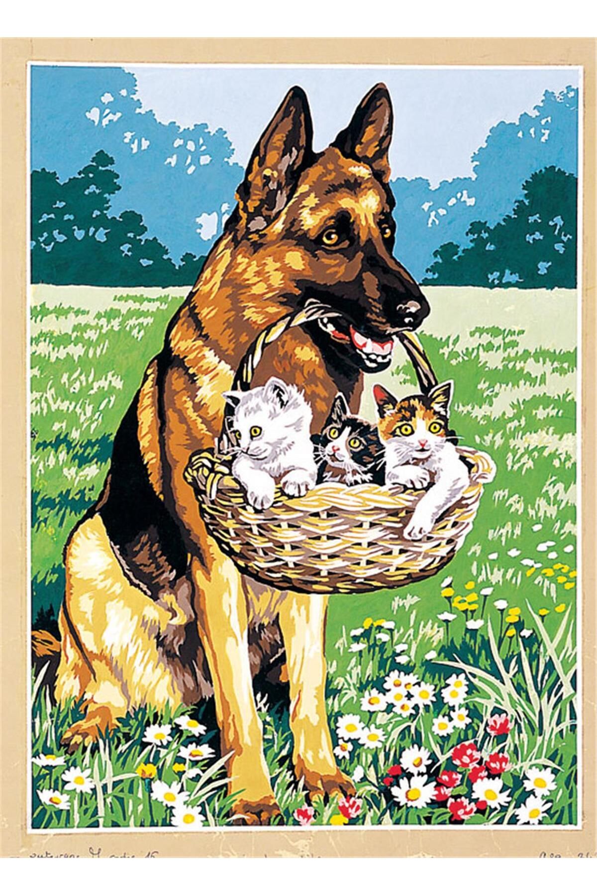 Seg GOBLEN 45X60CM