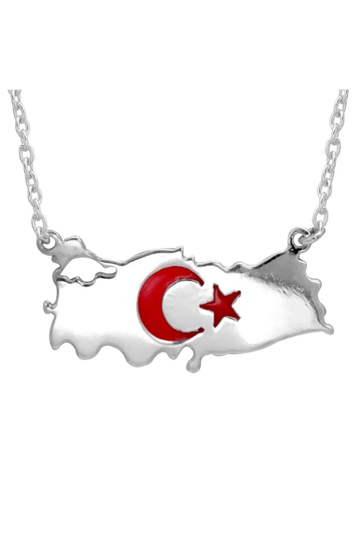 Ariş Türkiye Harita Gümüş Kolye