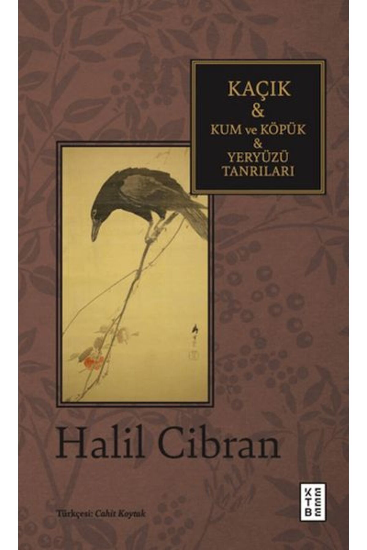 Ketebe Yayınları Kaçık amp Kum ve Köpük amp Yeryüzü Tanrıları