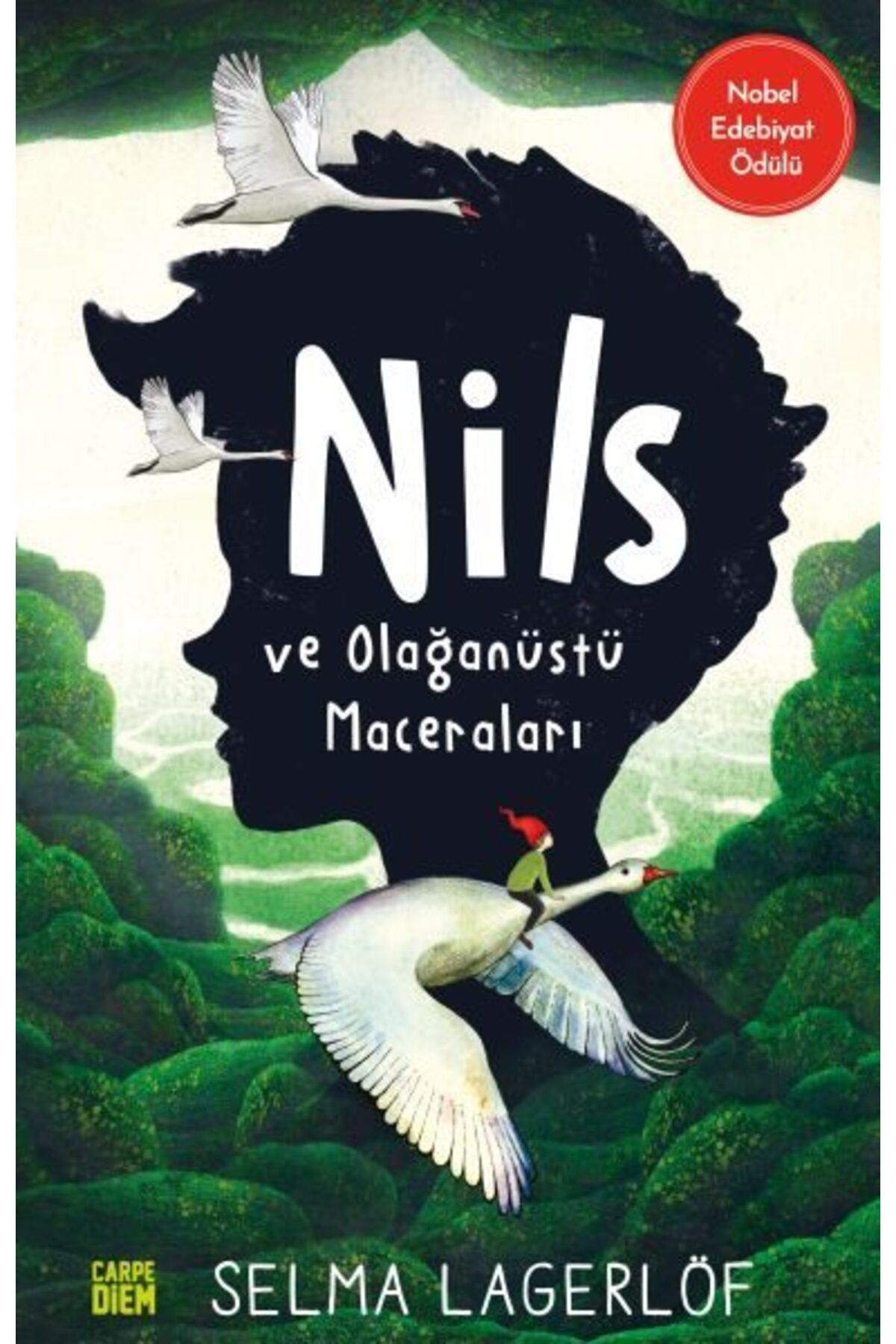Destek Yayınları Nils ve Olağanüstü Maceraları