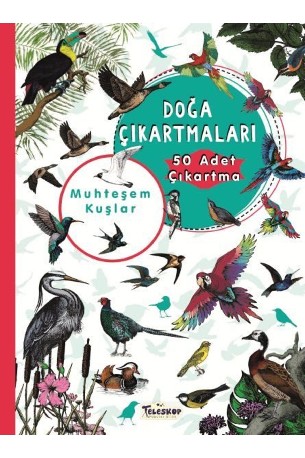 Destek Yayınları Muhteşem Kuşlar Doğa Çıkartmaları