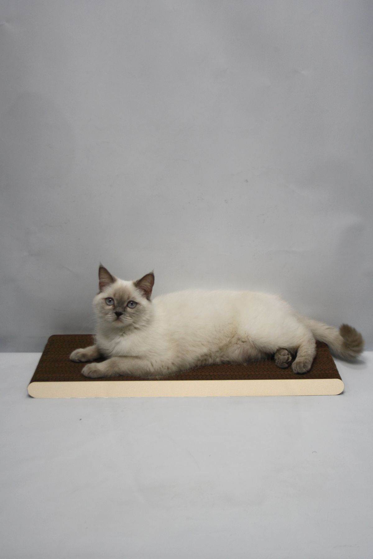 Lazy Paws-Cat Scratch Cardboard - 60X24 cm - Mdf Edge 3