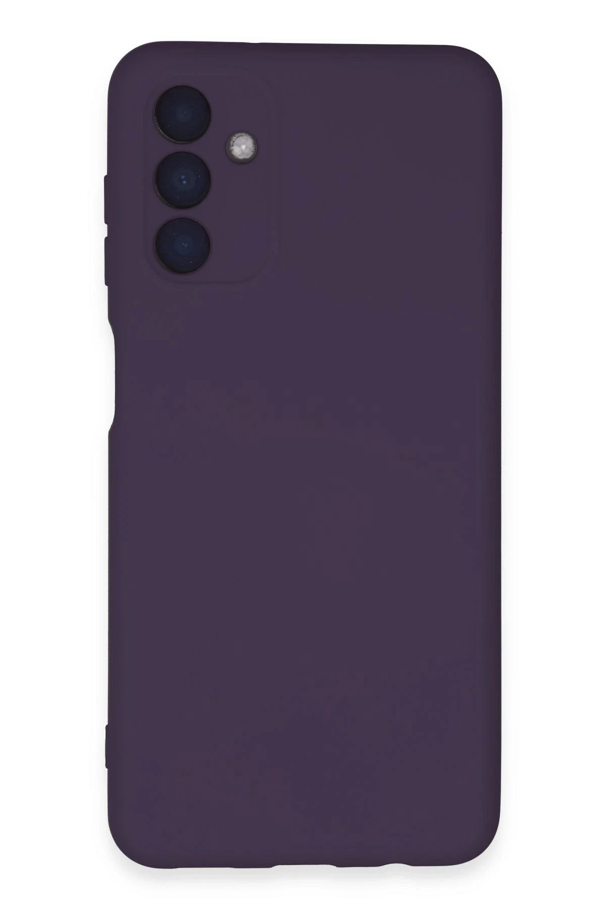 NewFace Galaxy A24 4G Uyumlu Kılıf Nano içi Kadife Silikon - Mor HNZRN