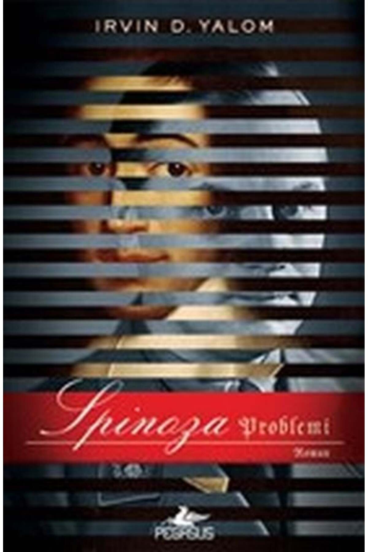 Karatay Yayınları Spinoza Problemi