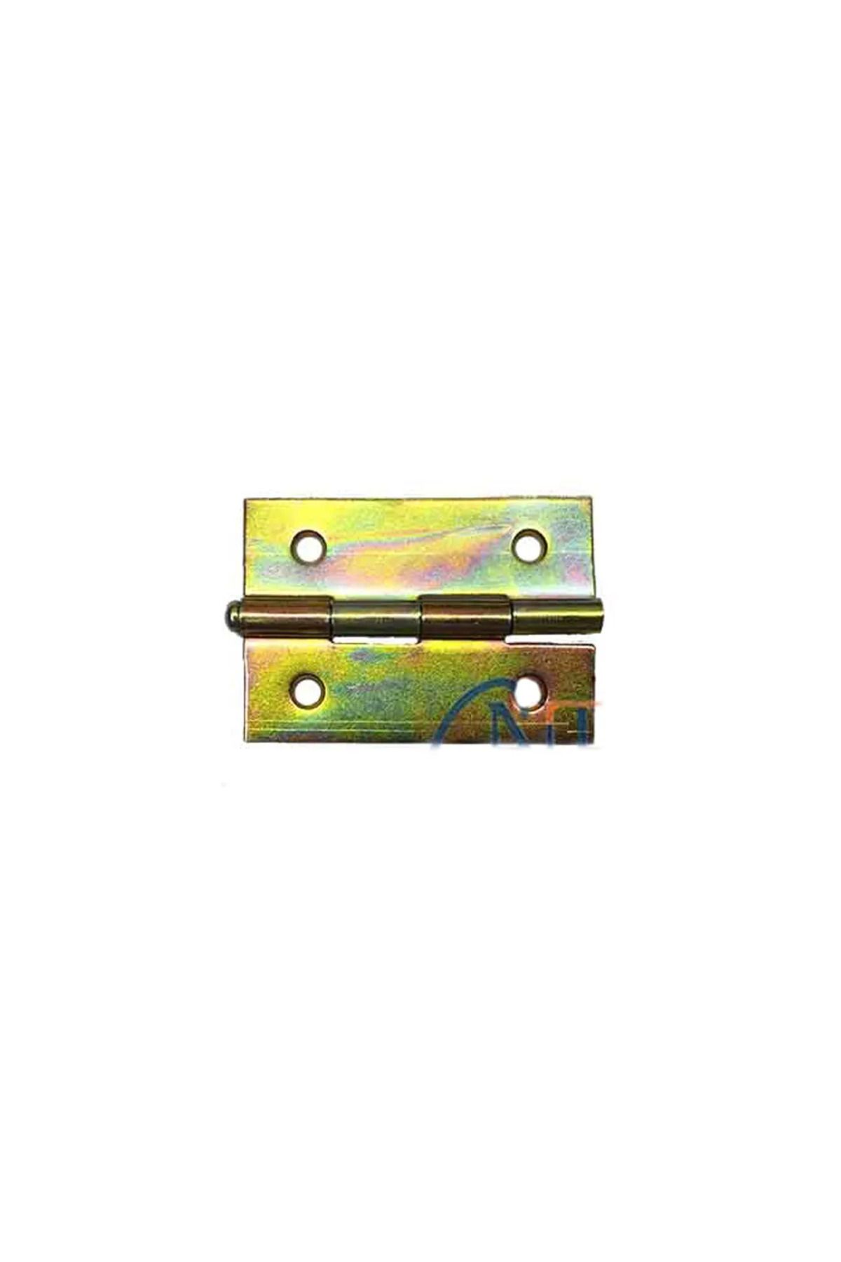 Ayaz World Yaprak Menteşe No:2 - 34x49mm 1 Adet - AYZ3536-2008