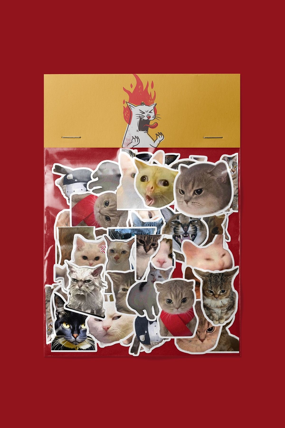 dadi ramba Sinirli Kedi Sticker paketi -Bullet Journal- Ajanda -Laptop Etiket Çıkartma