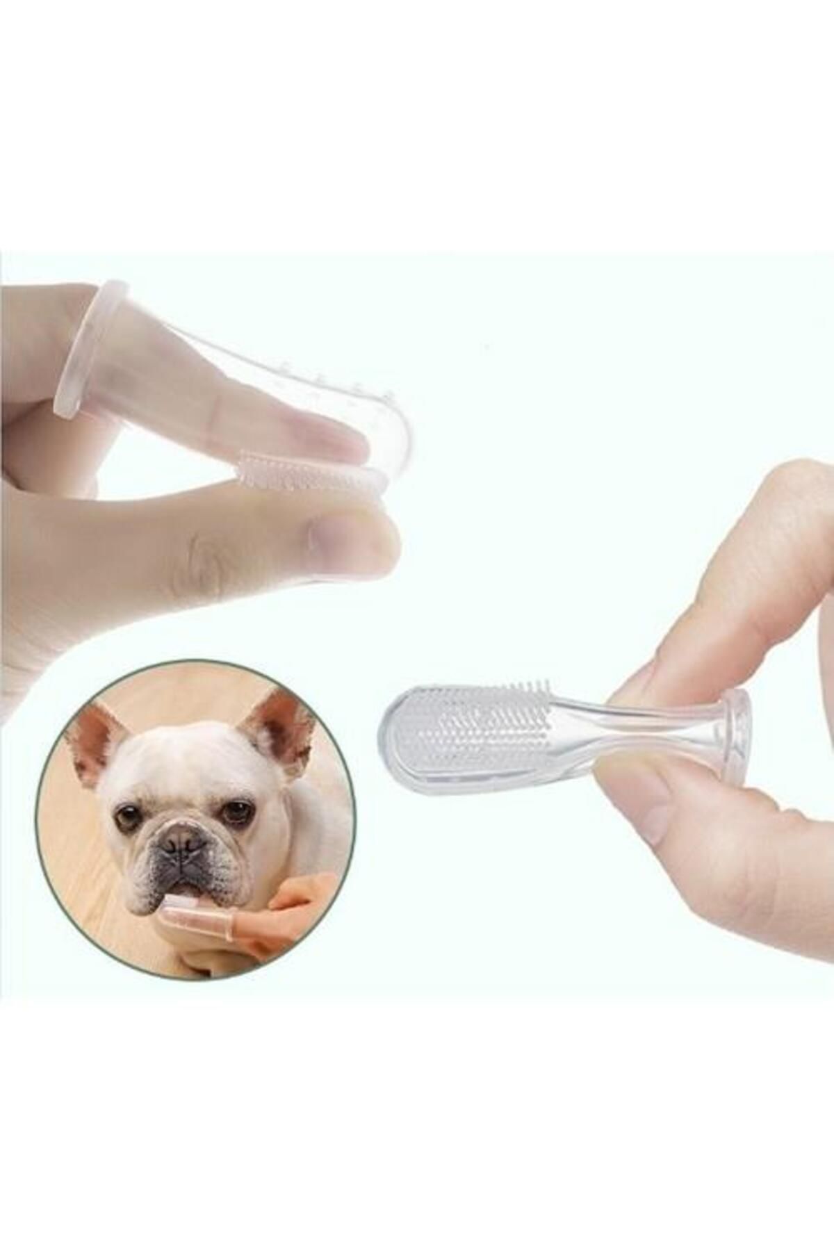 sanal trend Kedi Ve Köpek Parmak Diş Fırçası Saklama Kutulu Kolay Kullanımlı Evcil Hayvan Diş Bakım Fırçası