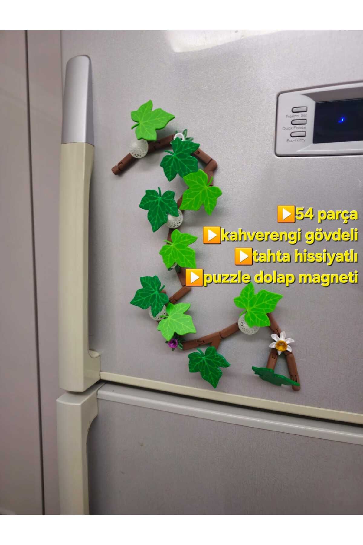 unbranded Mıknatıslı Sarmaşık Dolap Süsü Magnet Seti – 54/106 Parça, Çiçekli, Fosforlu, Kutulu
