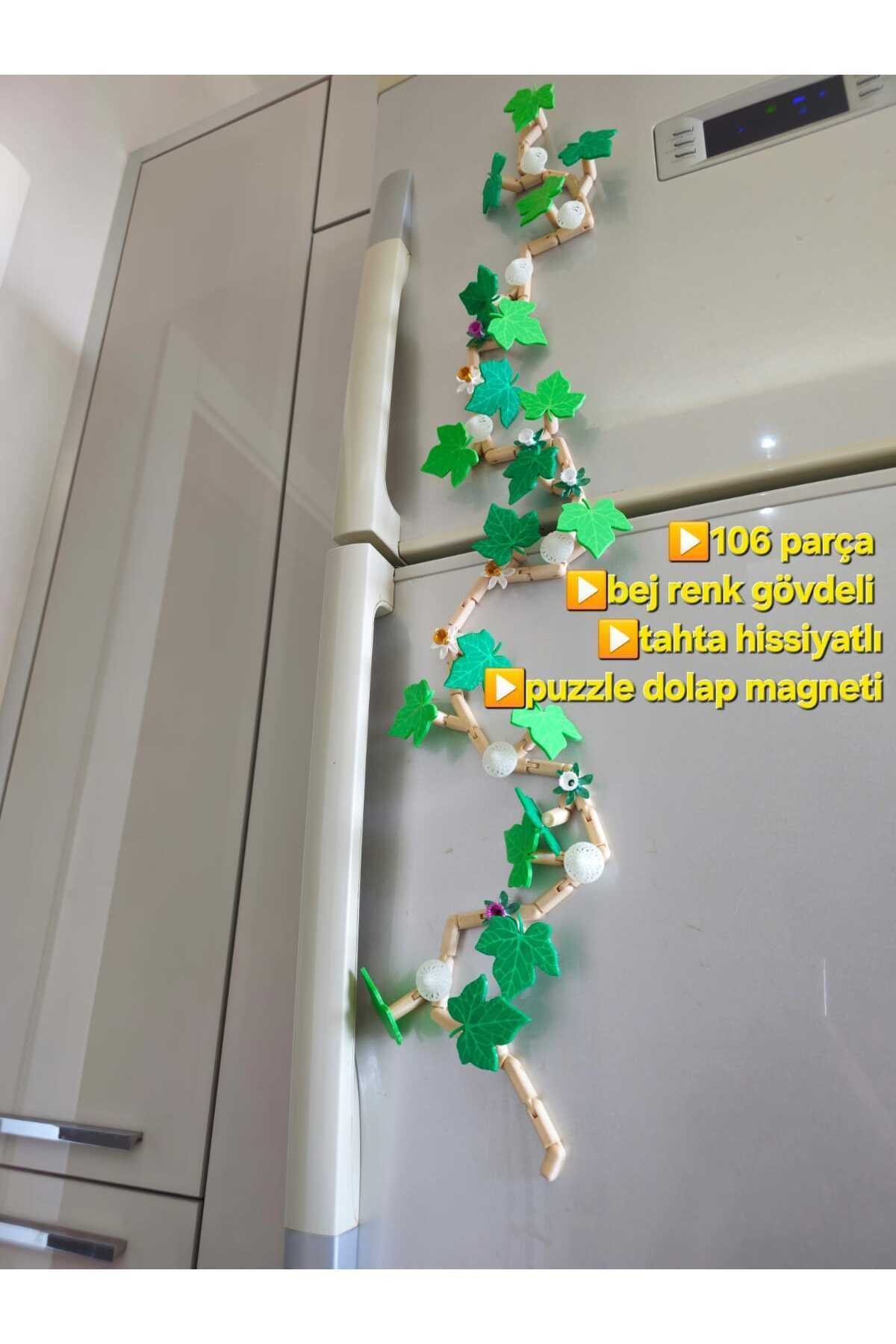 unbranded Mıknatıslı Sarmaşık Dolap Süsü Magnet Seti – 54/106 Parça, Çiçekli, Fosforlu, Kutulu