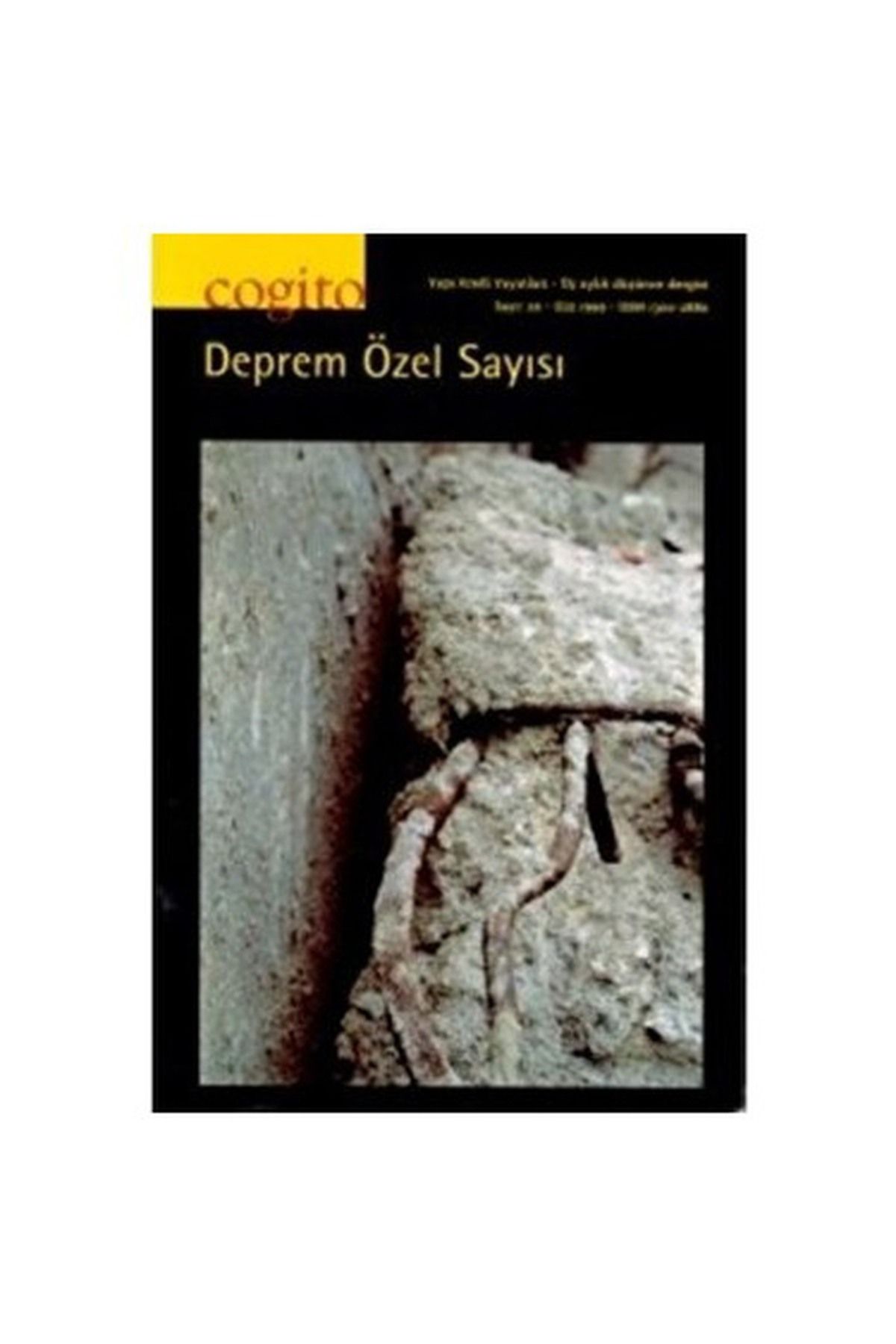 Literatürk Academia Cogito Deprem Özel Sayısı Sayı: 20