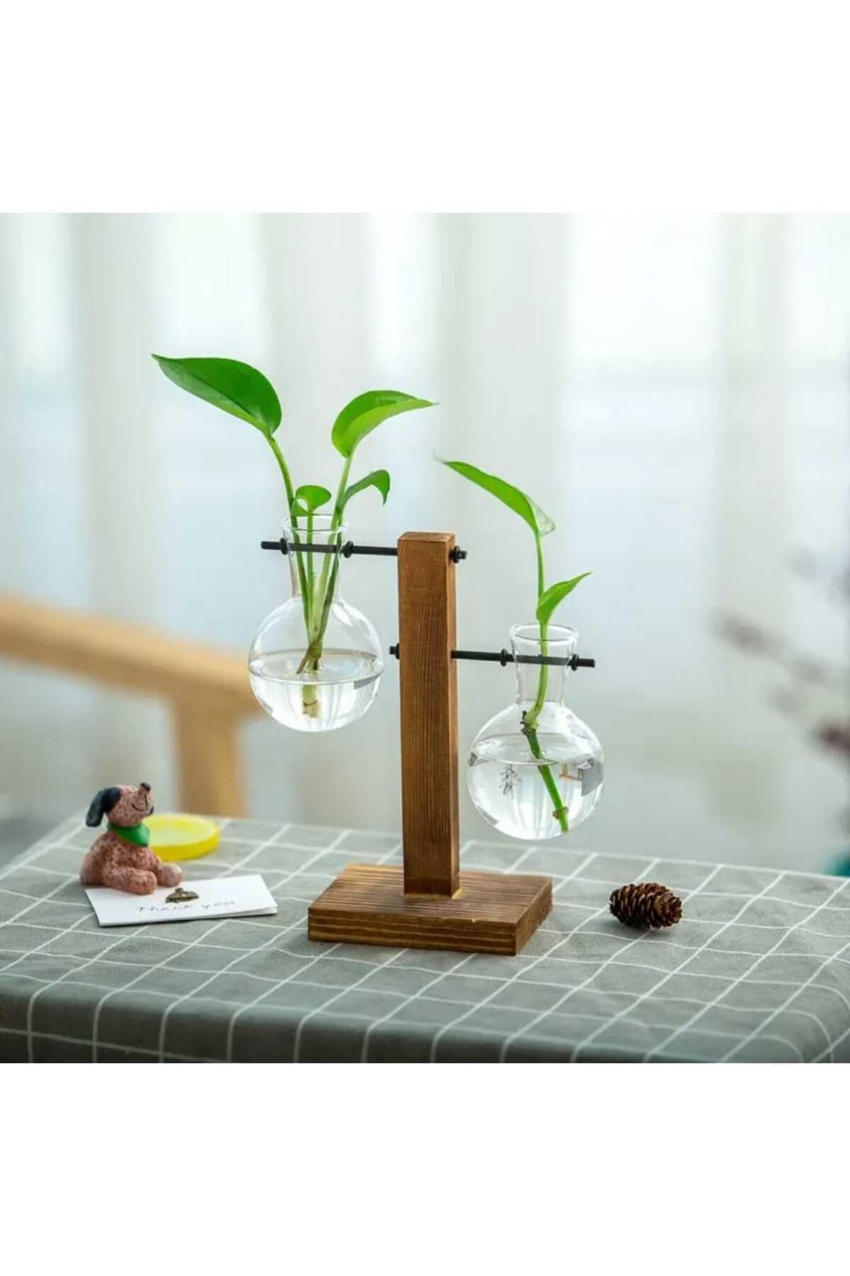ALPJOY Hidroponik Bitki Vazosu Vintage Ahşap Stand