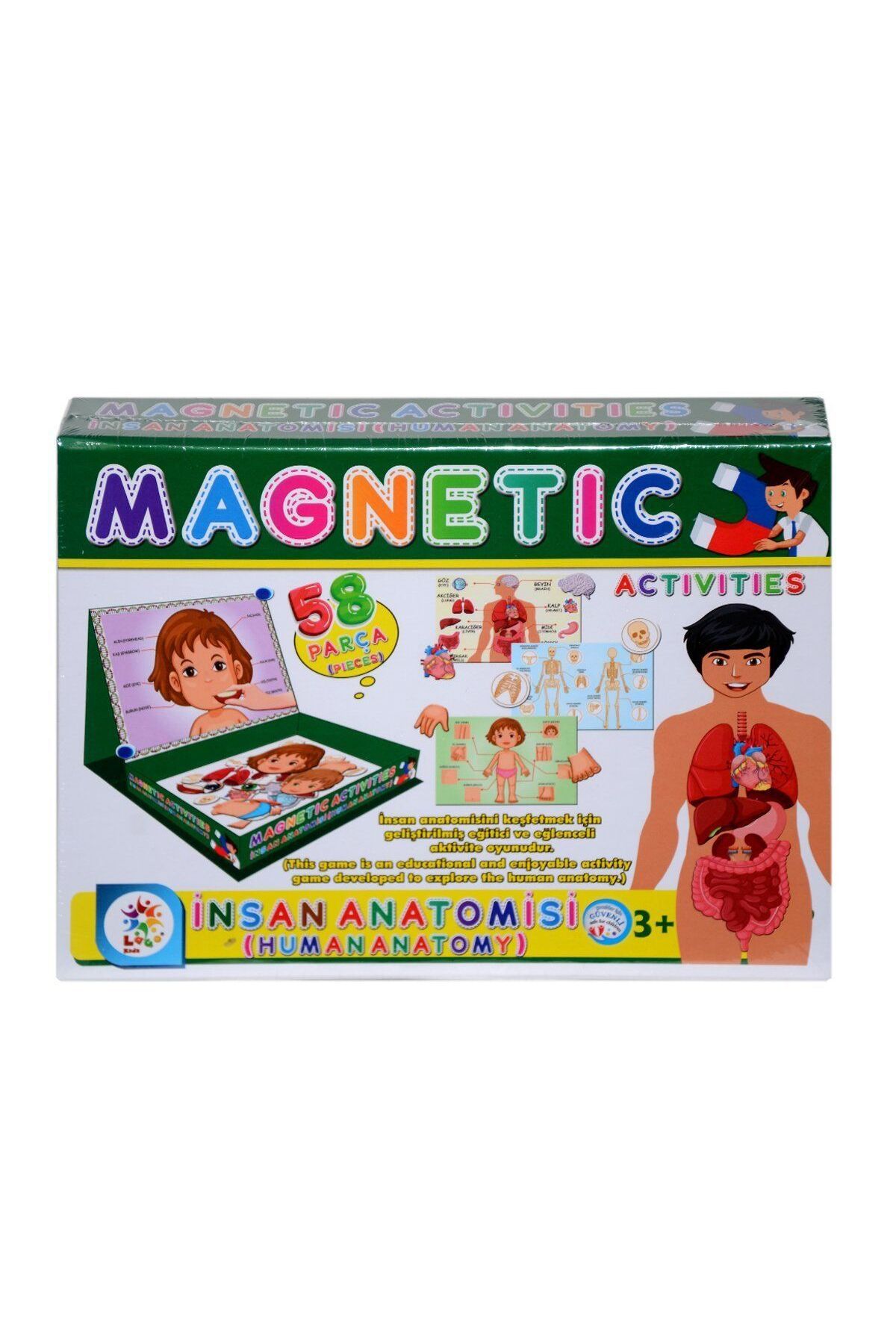 Easy Tedarik LC7171 Laço, Laço, Manyetik Aktiviteler - İnsan Anatomisi / +3 yaş