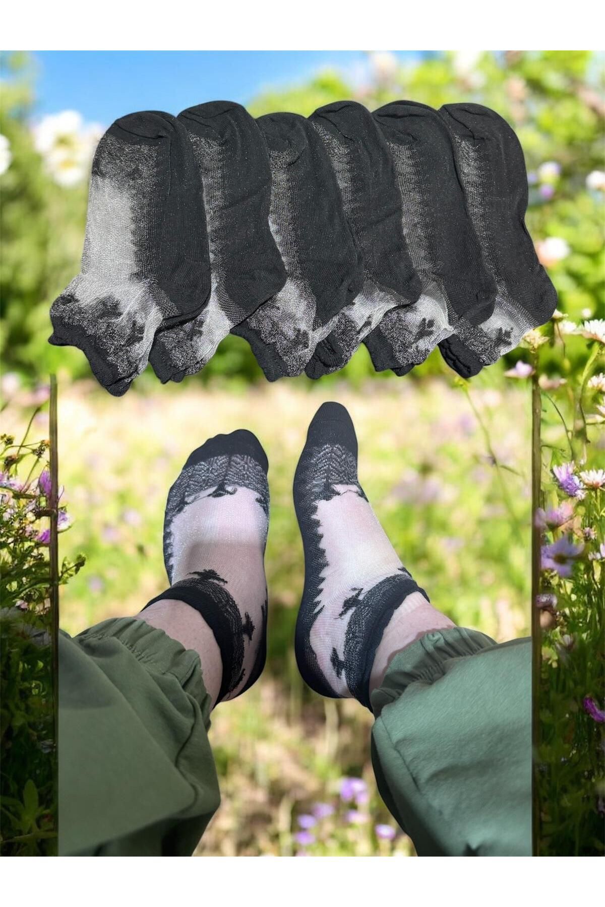 BYNDRSOCKS 6 Çift Kadın Patik Tül Pamuklu Siyah Çorap