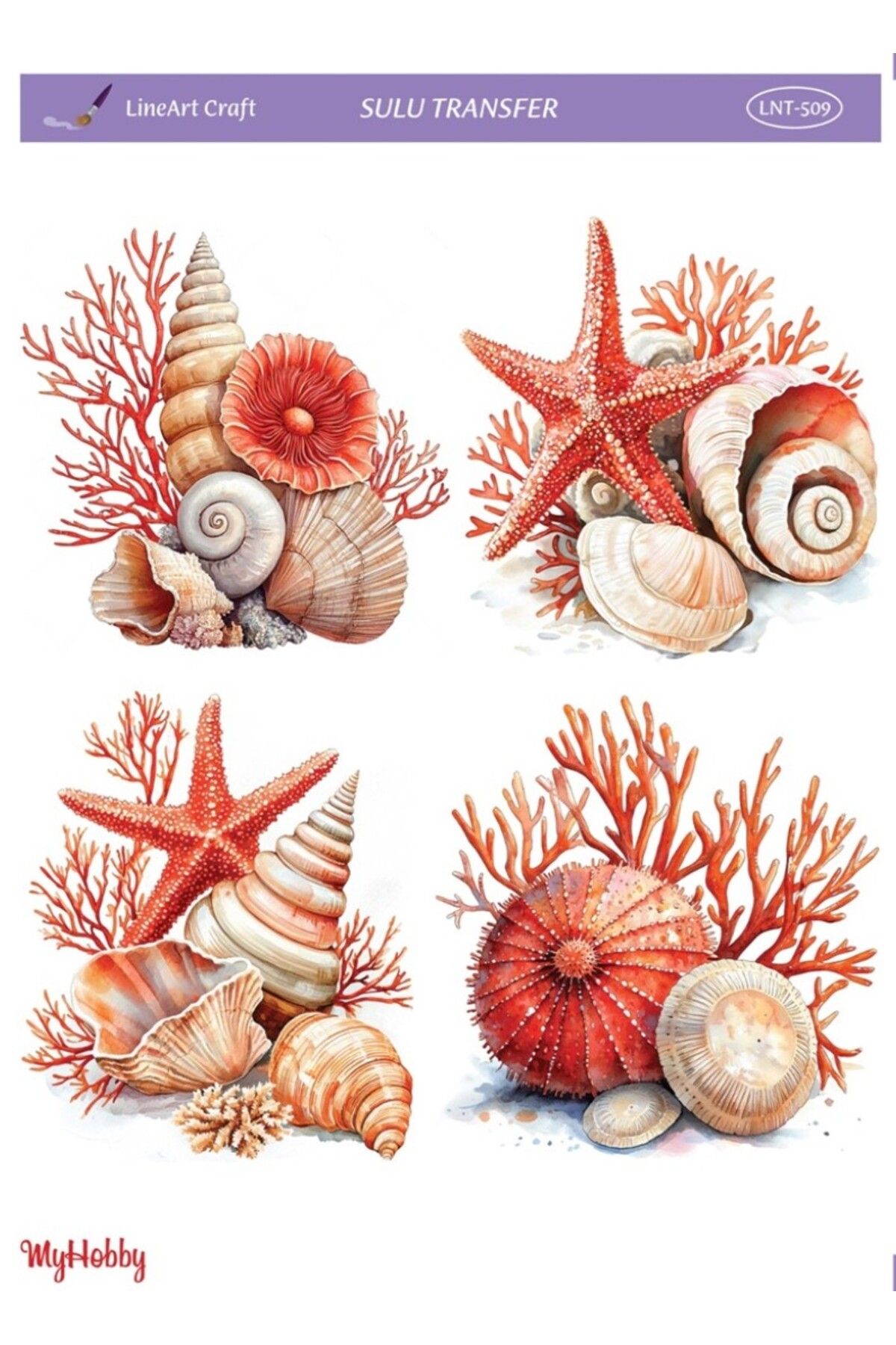 LİNEART LNT509 Marine Desen, Deniz Kabukları, Mercan Açık Zemin Sulu Transfer 25*35 cm