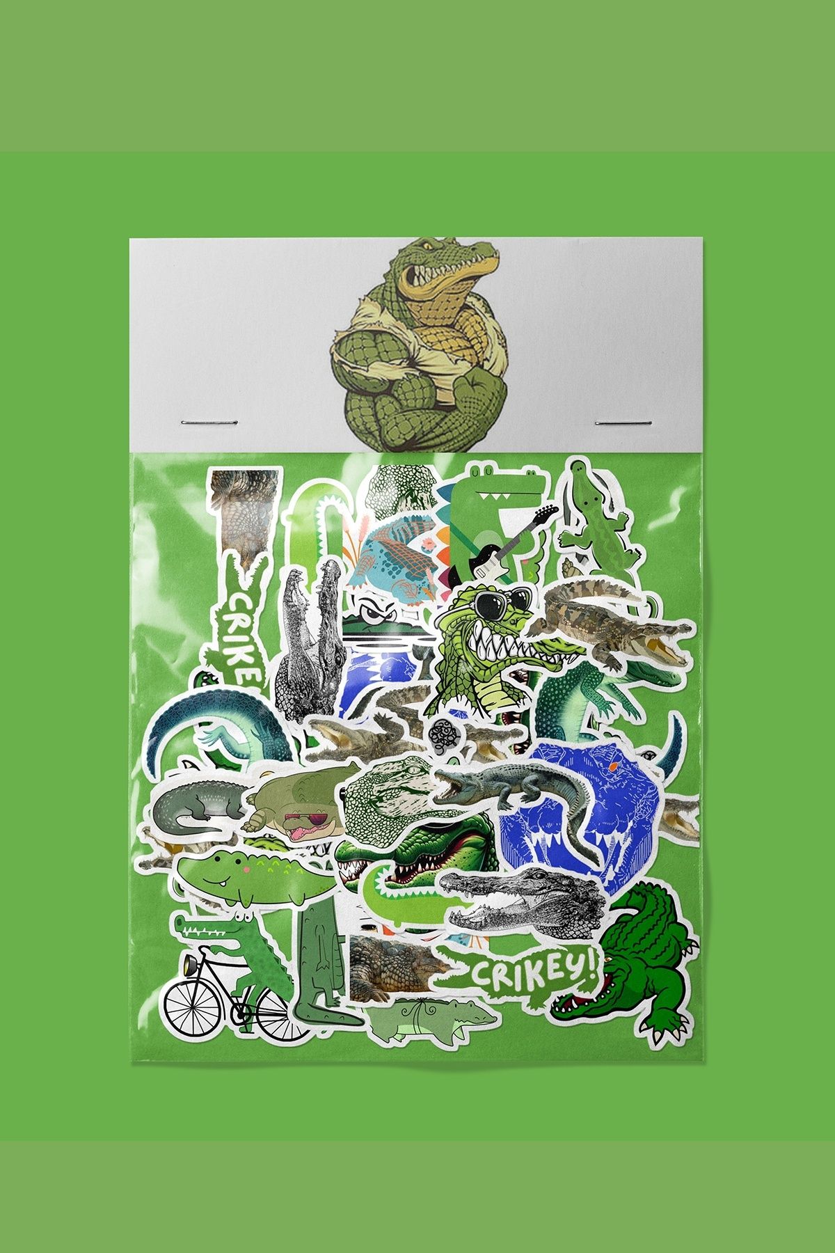 dadi ramba Timsah Sticker paketi -Bullet Journal - Ajanda -Laptop Etiket Çıkartma