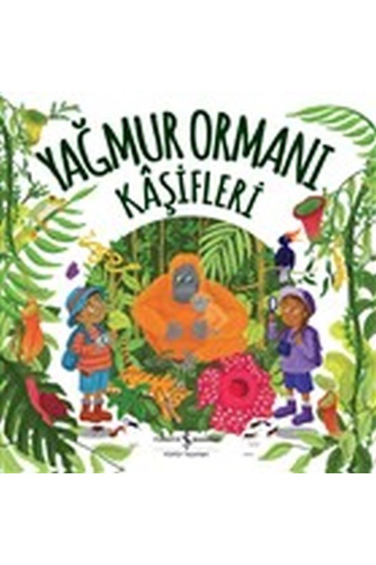 Destek Yayınları Yağmur Ormanı Kaşifleri