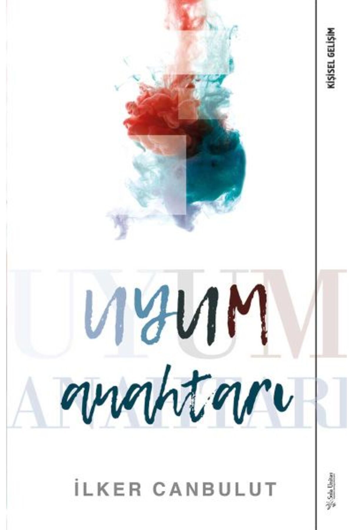 Destek Yayınları Uyum Anahtarı