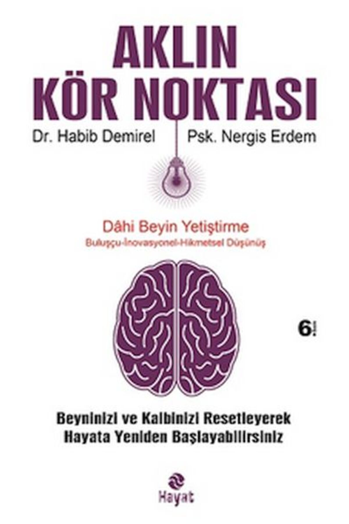 Destek Yayınları Aklın Kör Noktası