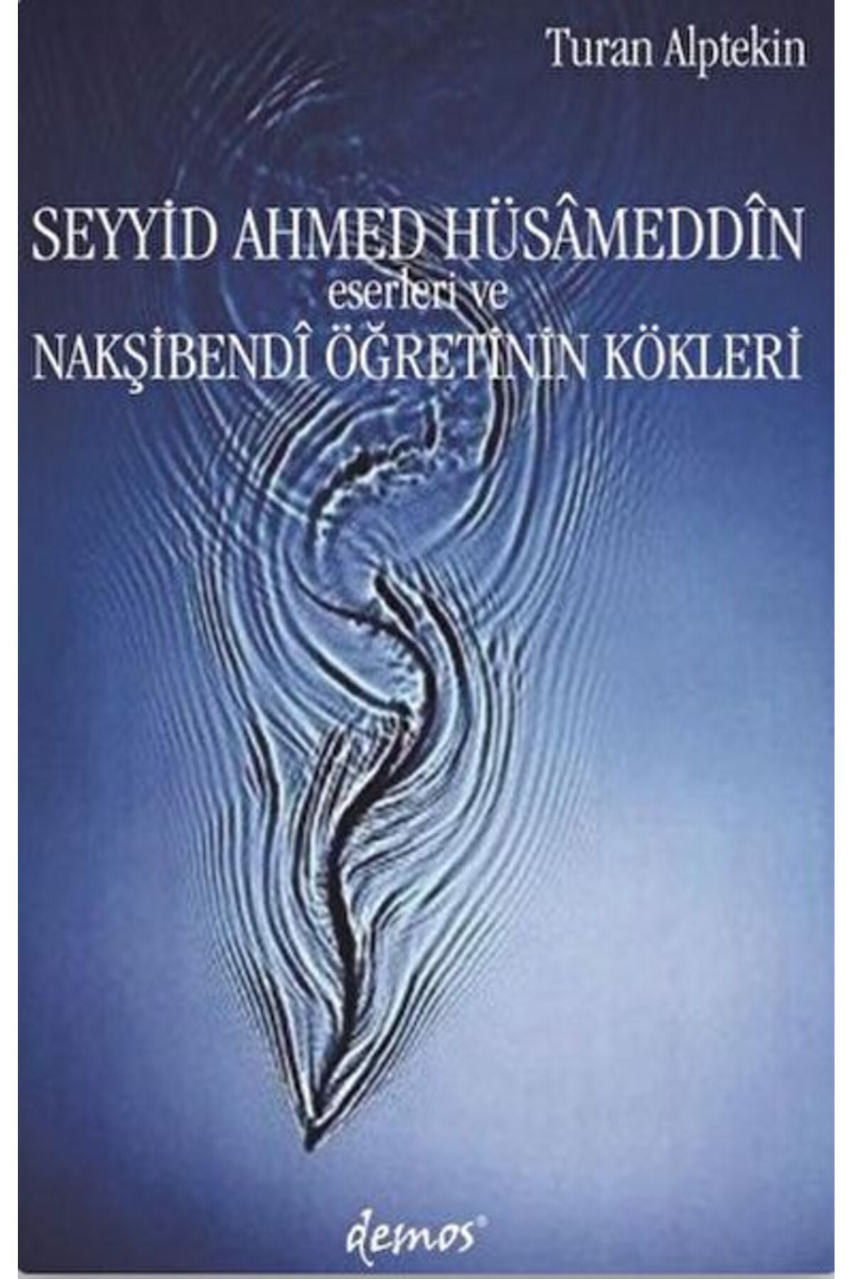 Destek Yayınları Seyyid Ahmed Hüsameddin Eserleri ve Nakşibendi Öğretinin Kökleri