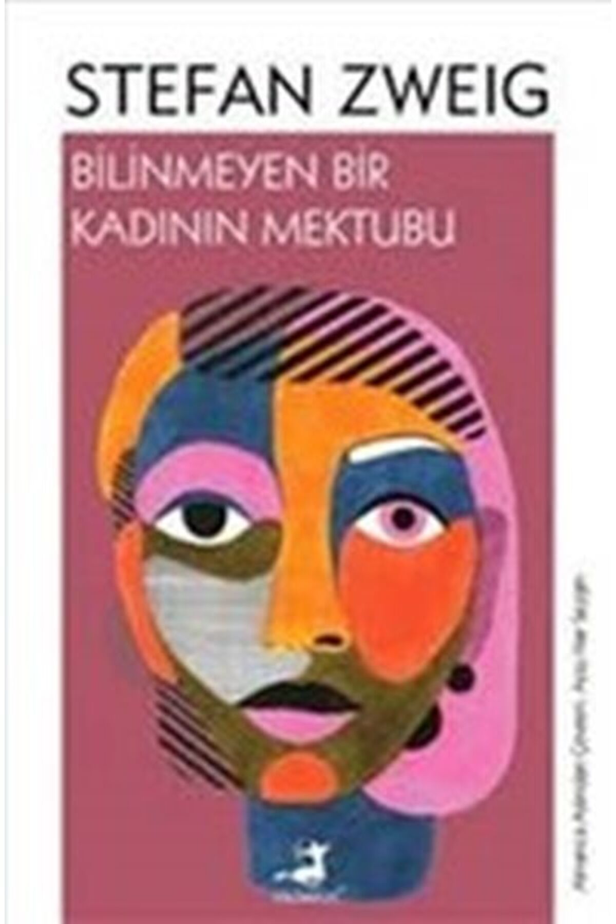 Destek Yayınları Bilinmeyen Bir Kadının Mektubu