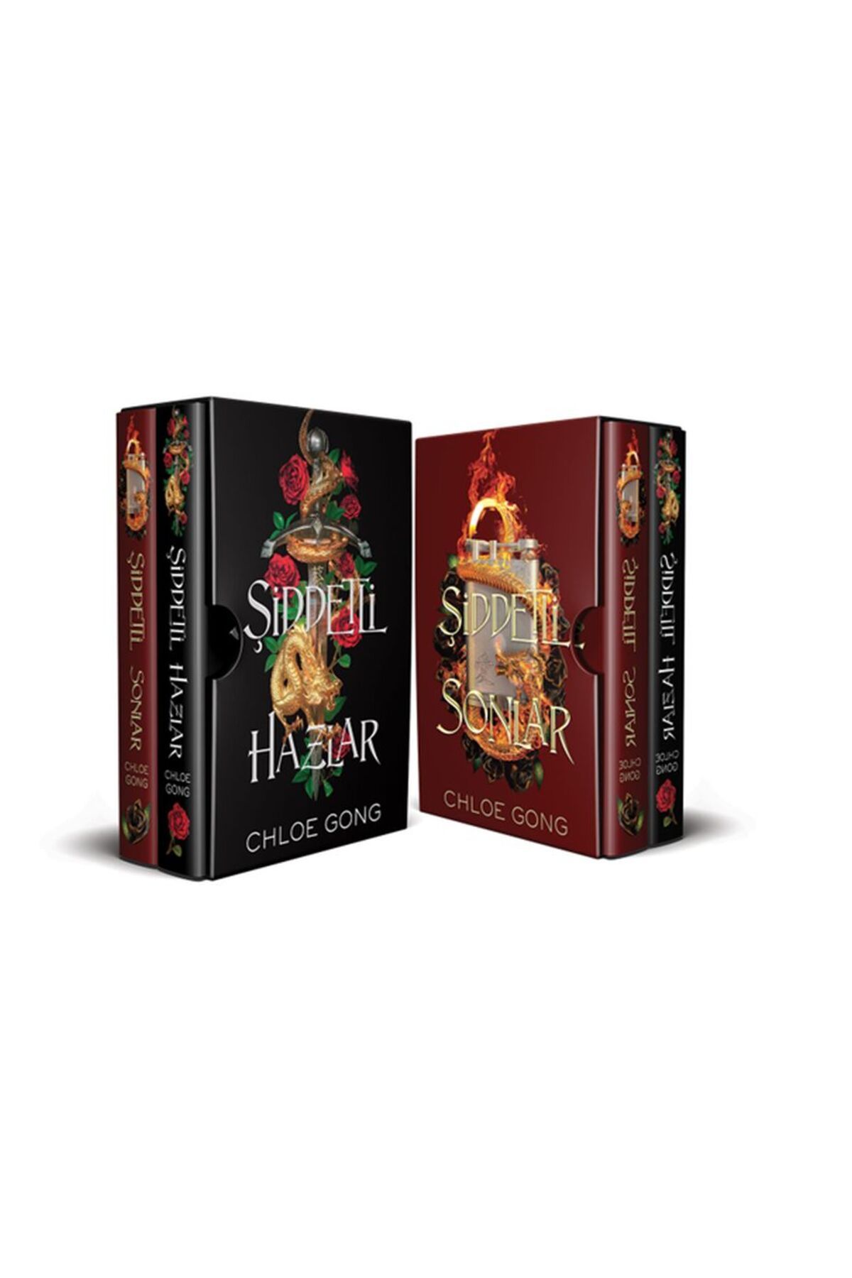 Destek Yayınları Şiddetli Hazlar Serisi Kutulu Set