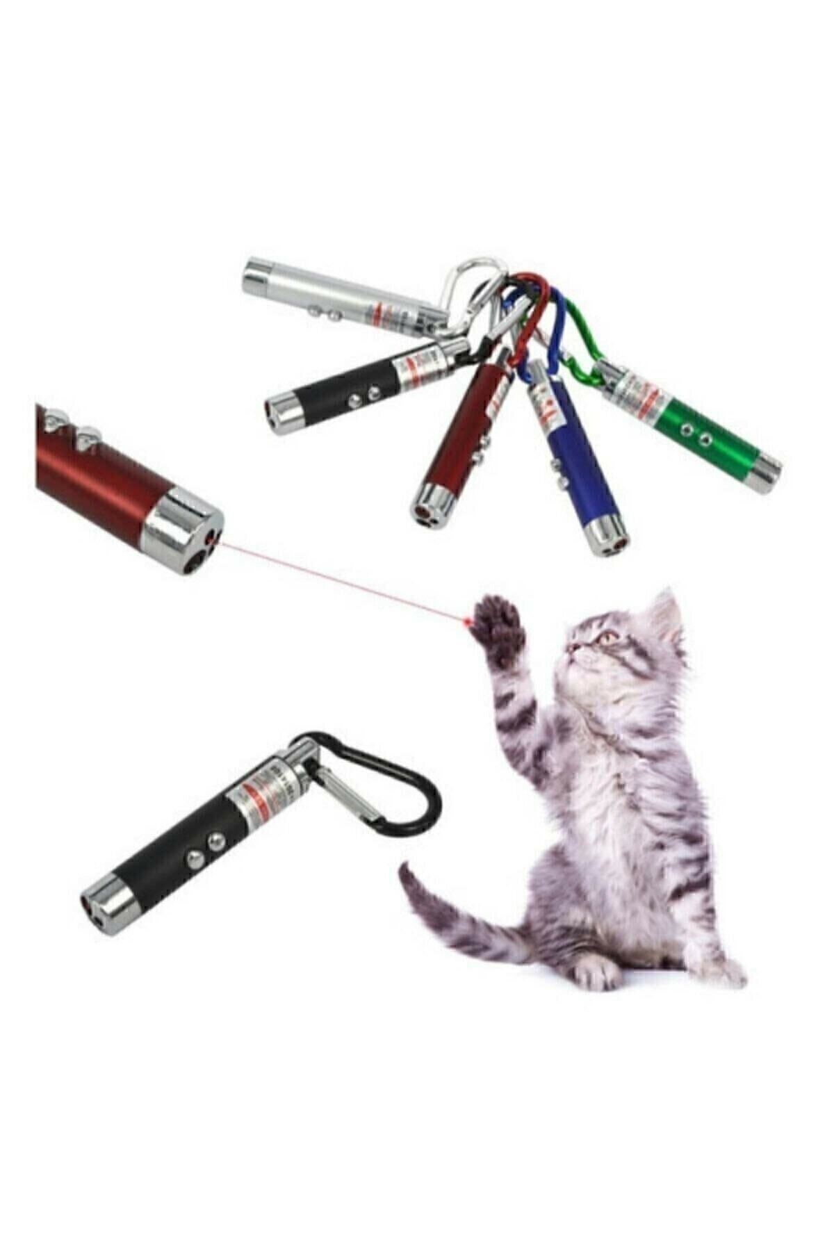 Lazer-3 Function Red White Illuminated LED Cat Dog Toy Keychain 2