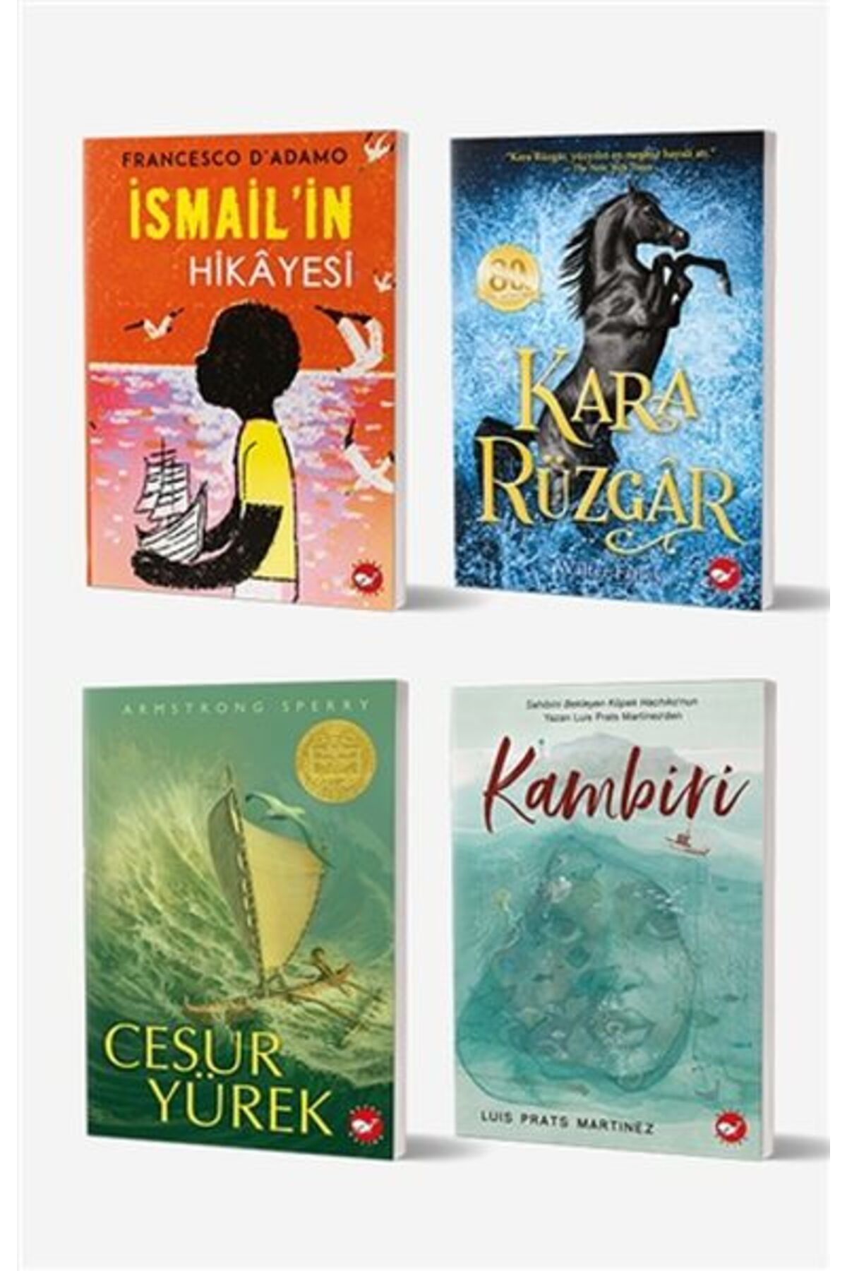 Destek Yayınları 11+ Yaş İçin Okuma Seti (4 Kitap Takım)
