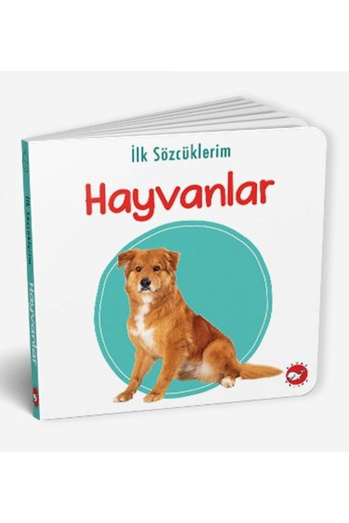 Türk Dil Kurumu Yayınları İlk Sözcüklerim - Hayvanlar