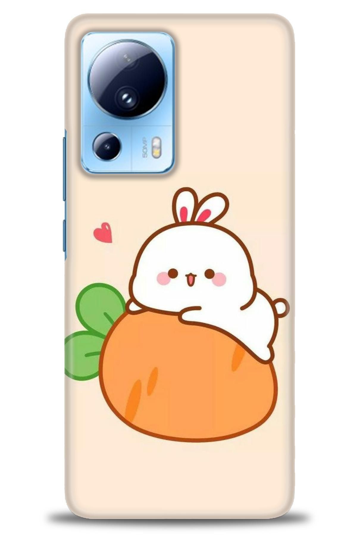 CooperTech Xiaomi Mi 13 Lite İle Uyumlu HD Baskılı Desenli Silikon Kılıf - 660