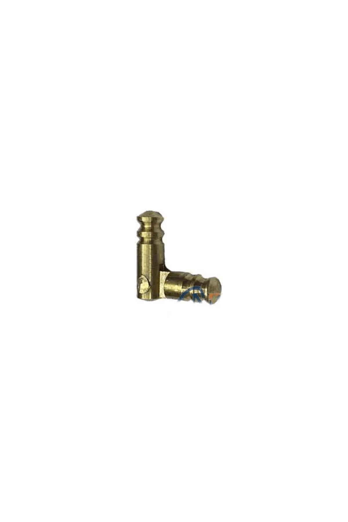 NEZADE STORE Pirinç Gizli, Çubuk Kutu Menteşe - 4x21mm, 1 Adet - Lisinya