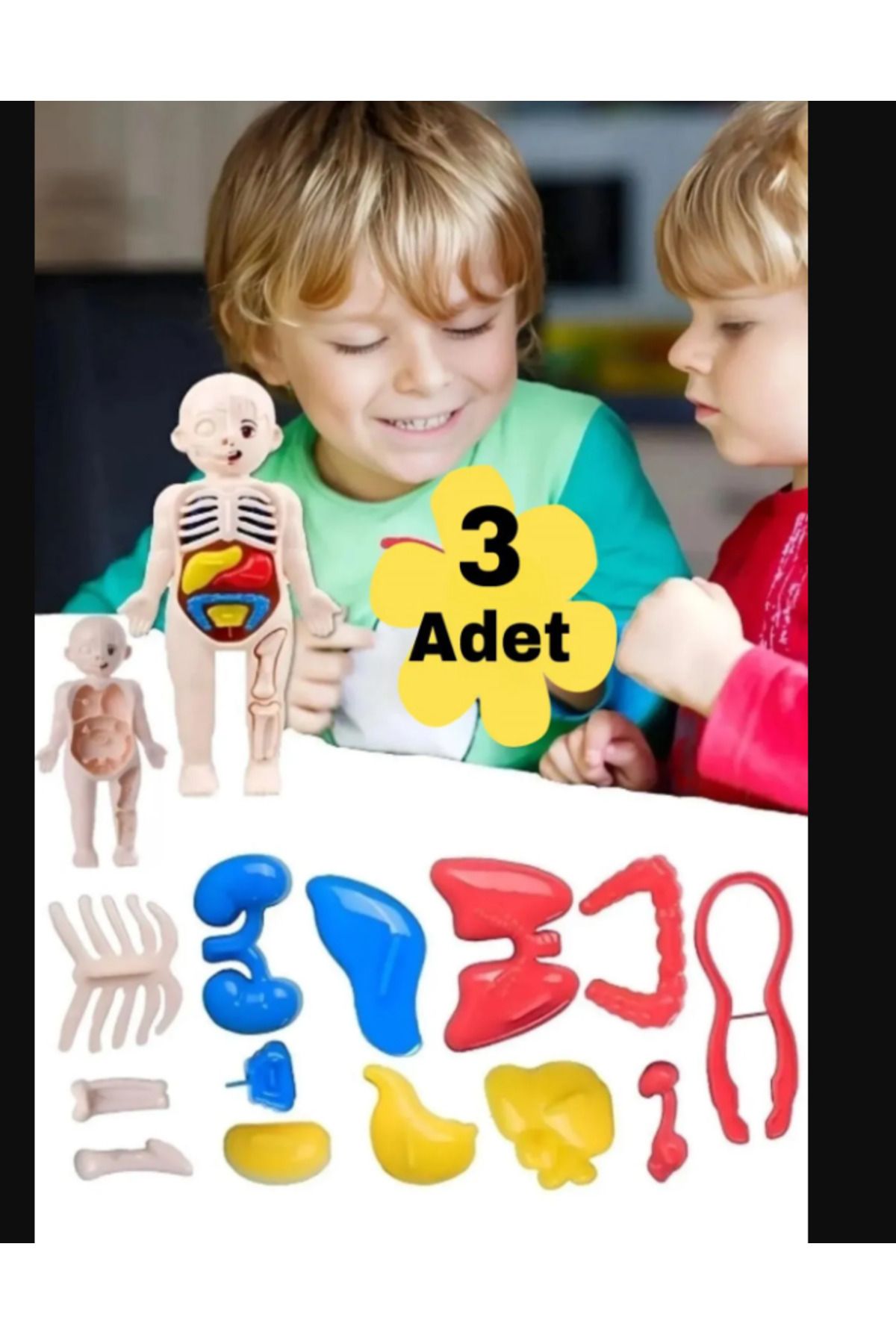 Ax Axentia 3 Adet Oyuncak Vücut Anatomisi Organ Bulmaca Okul Laboratuvar Ürünü Karne Hediyesi 20 Cm