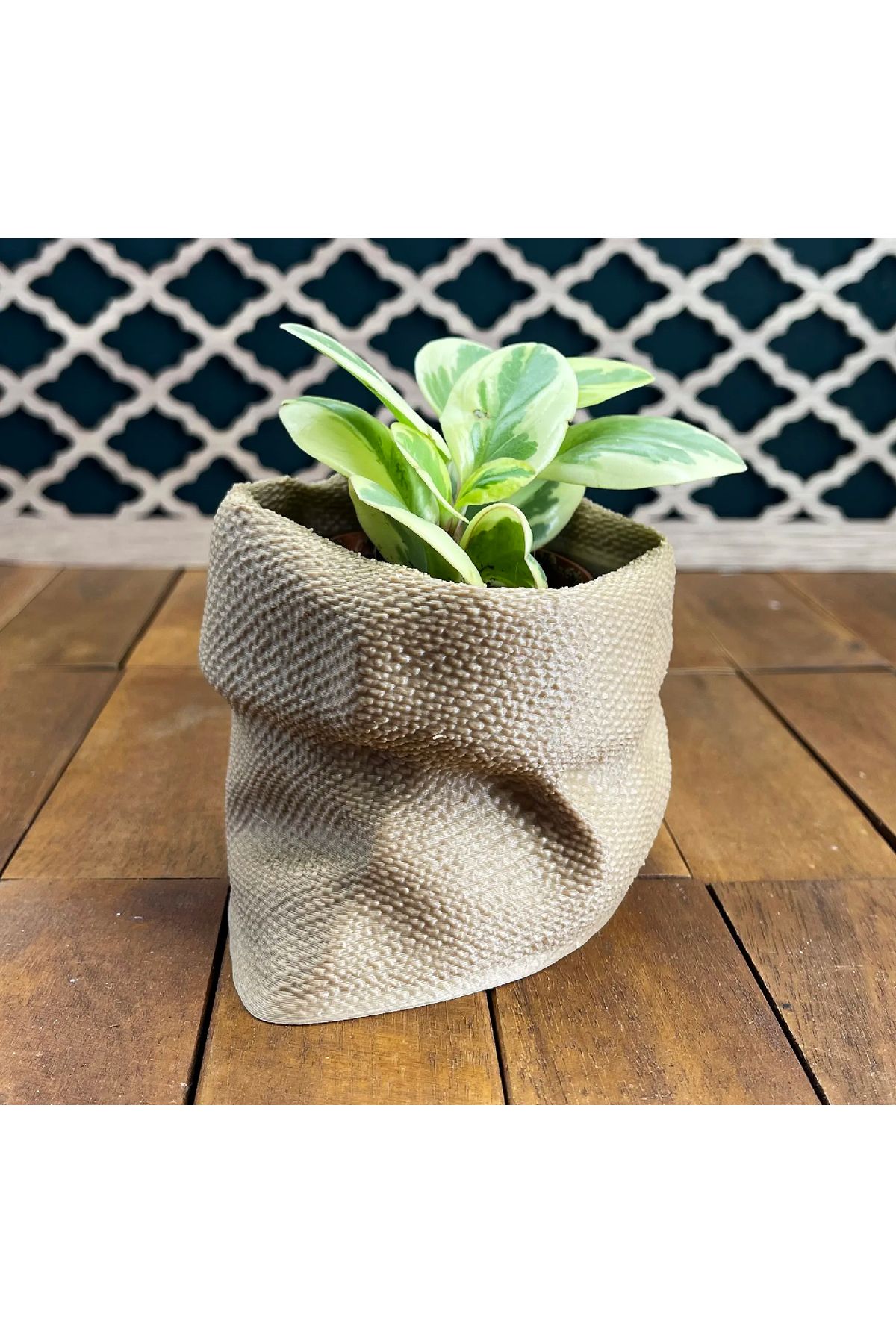 Wuun Store 16x11 ÇUVAL GÖRÜNÜMLÜ DEKORATİF SAKSI EV İÇİ
