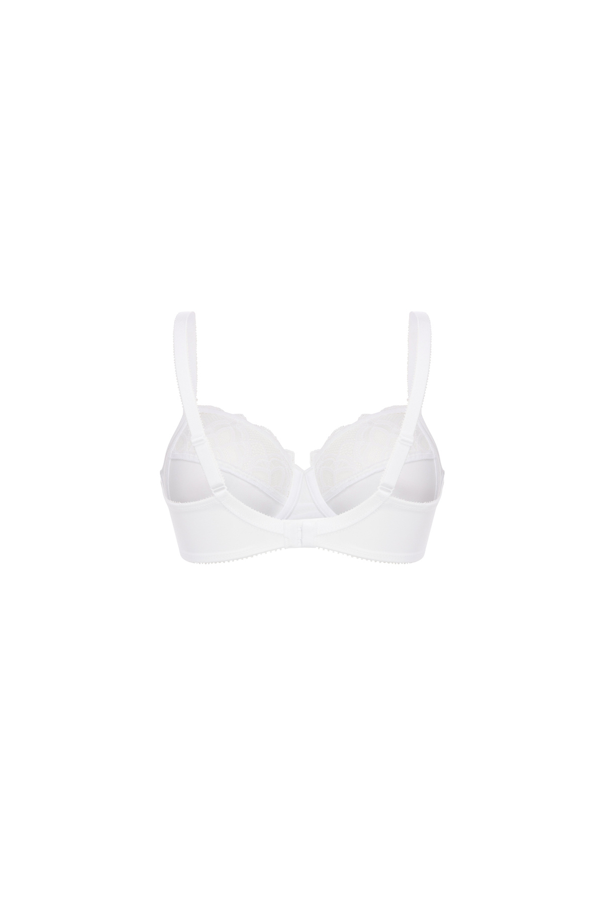 Felina-BHs 2