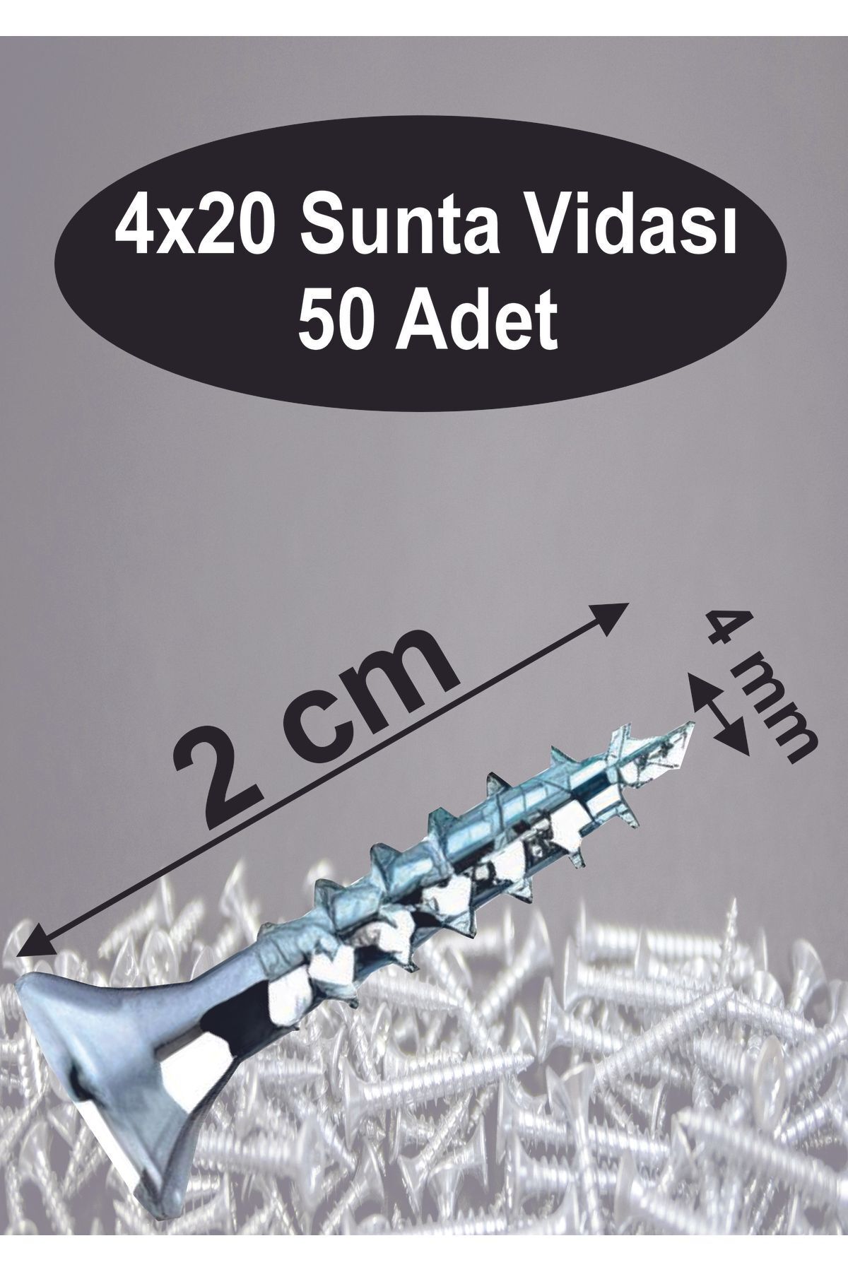 Dempol 4x20 Sunta Vidası 50 Adet