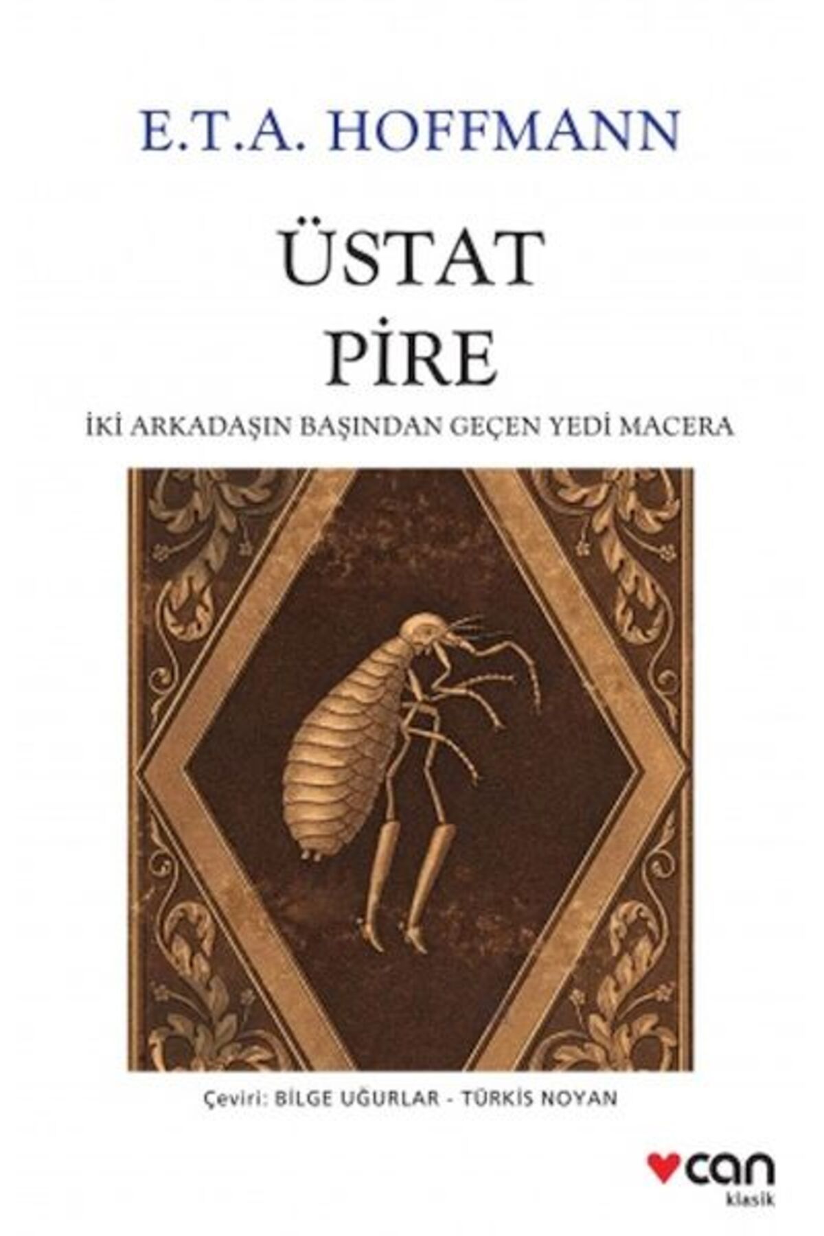 Destek Yayınları Üstat Pire