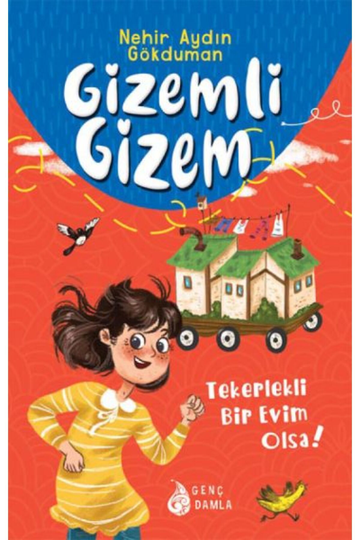 Destek Yayınları Gizemli Gizem