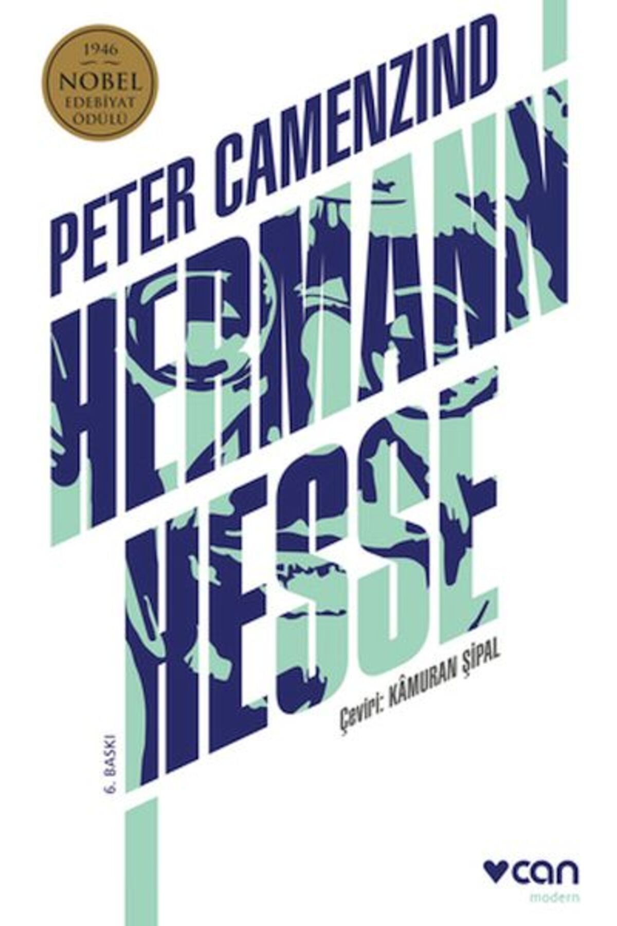 Destek Yayınları Peter Camenzind