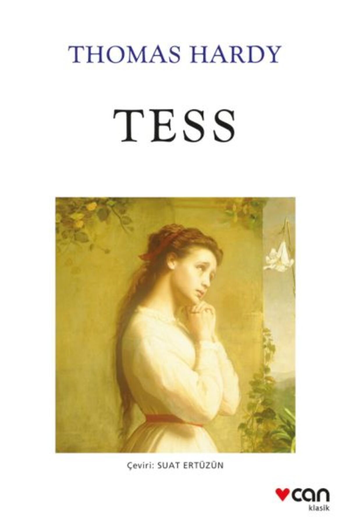 Destek Yayınları Tess